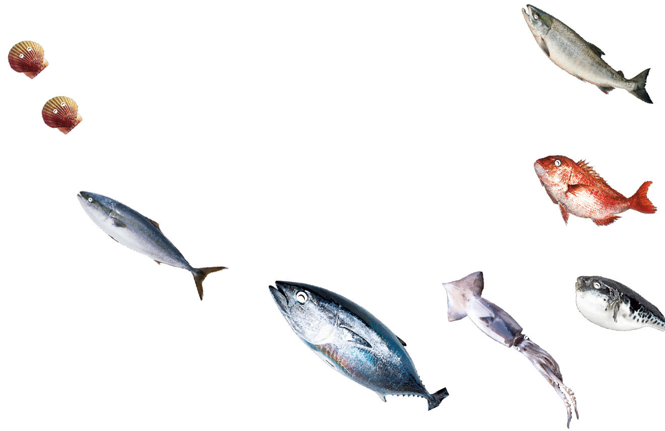 fish-group