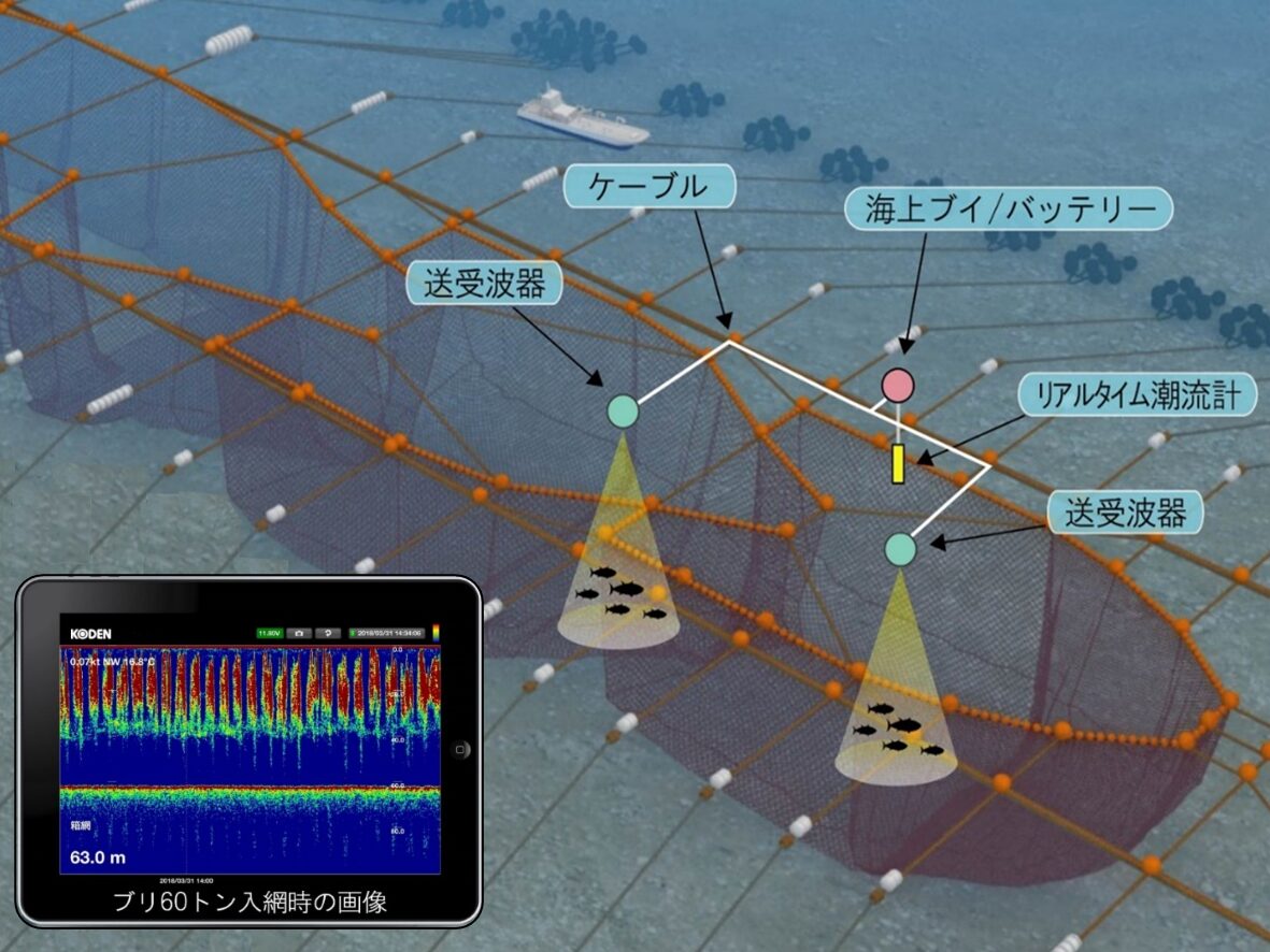 ユビキタス魚探