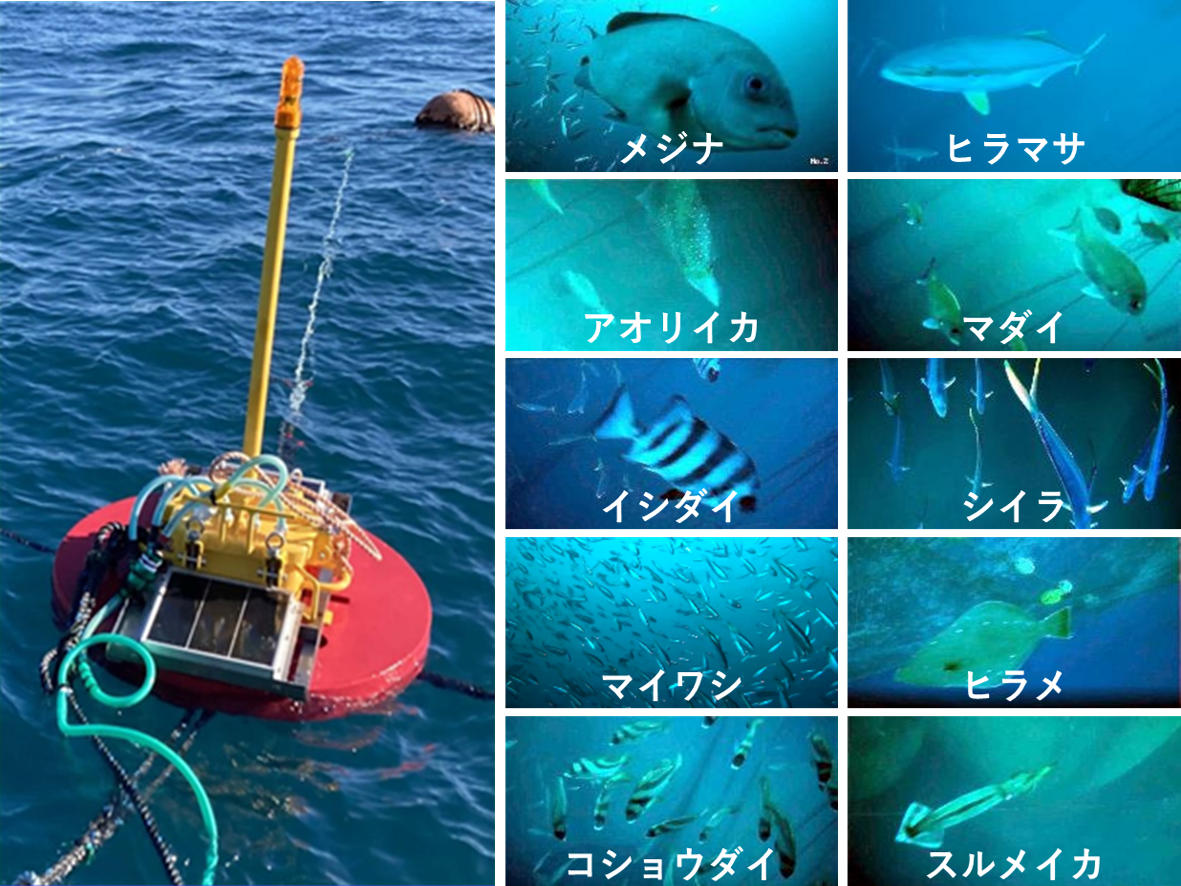 ユビキタスカメラ