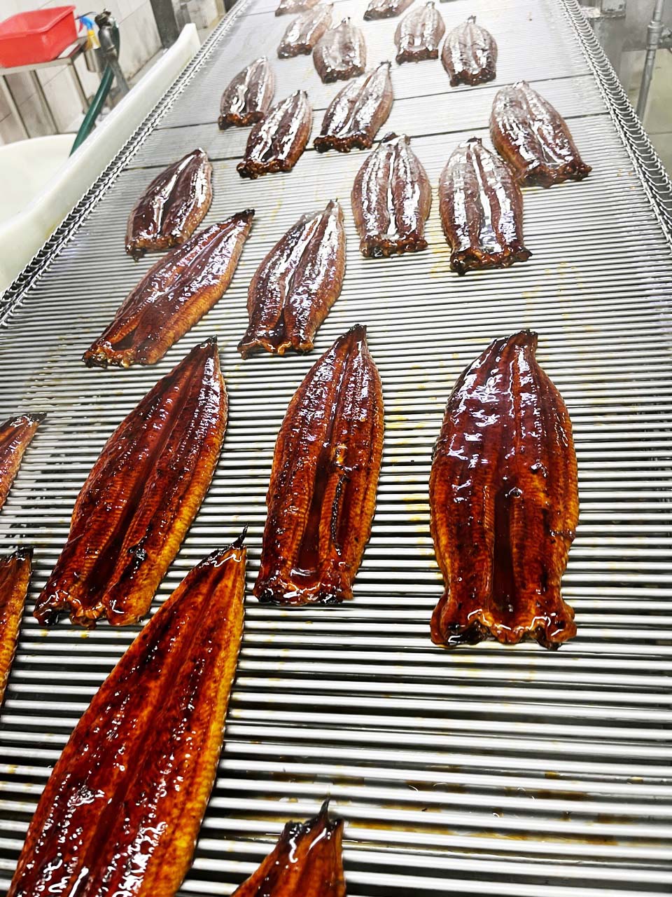 中国産 うなぎ蒲焼