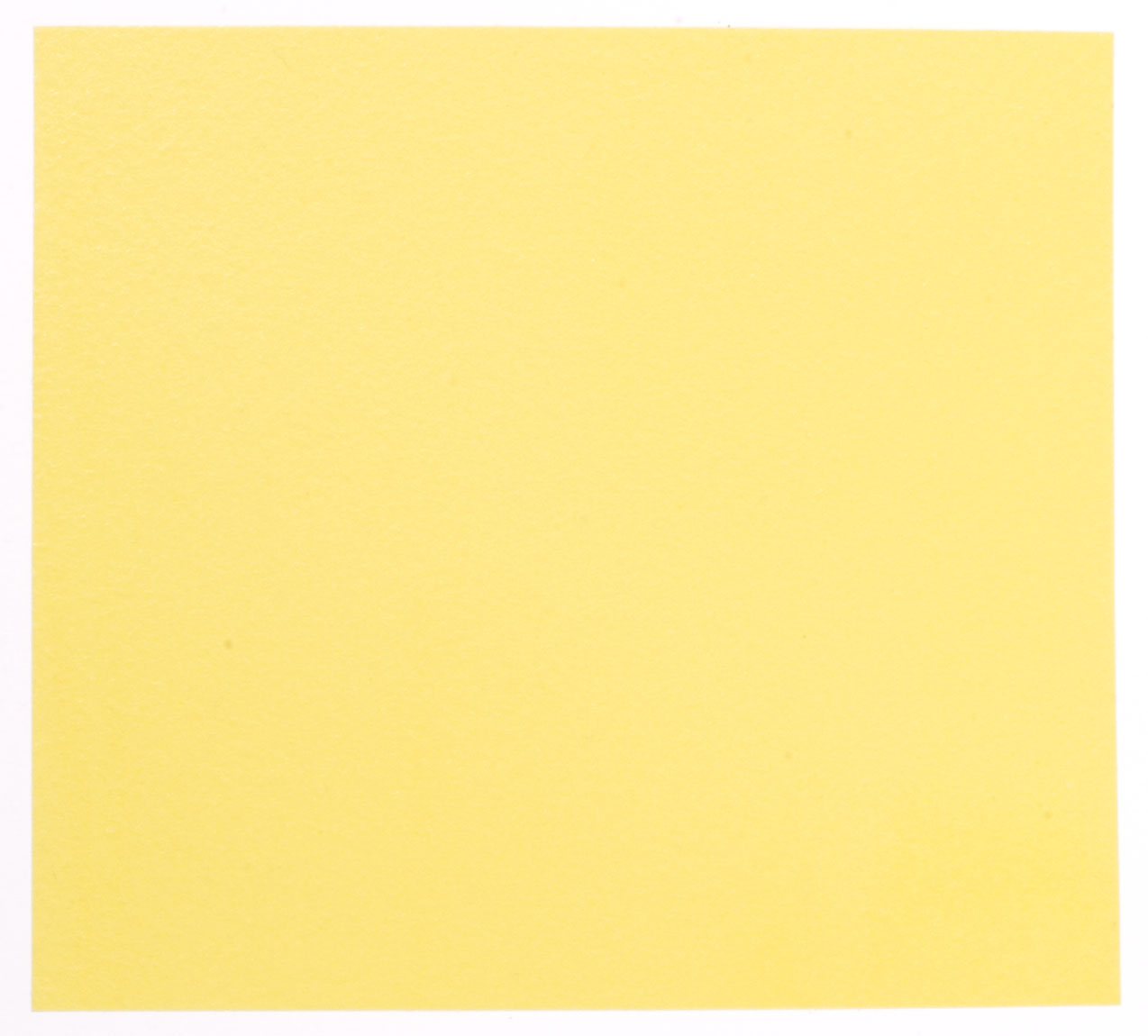 Mamenori san® YELLOW