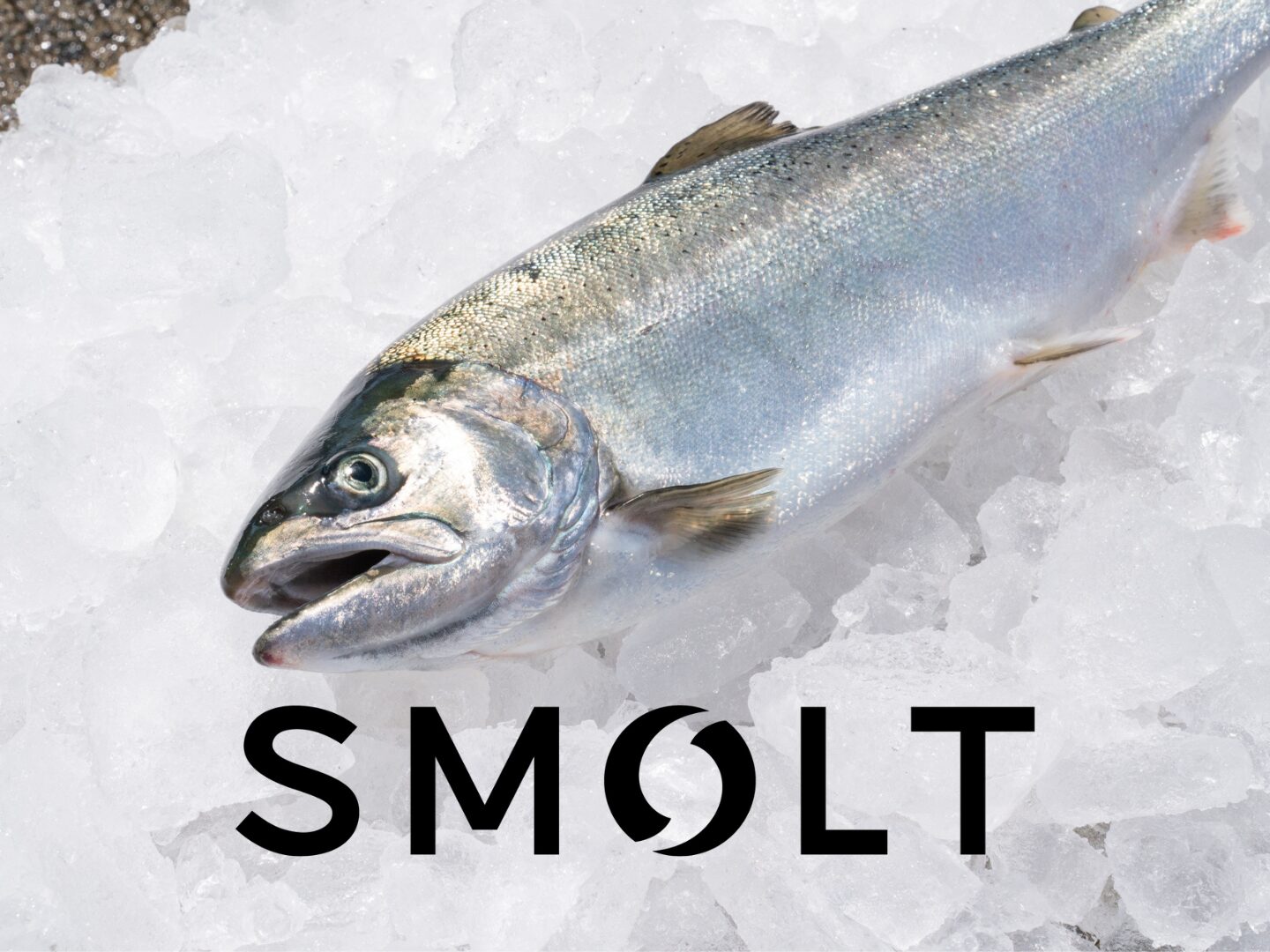 株式会社Smolt