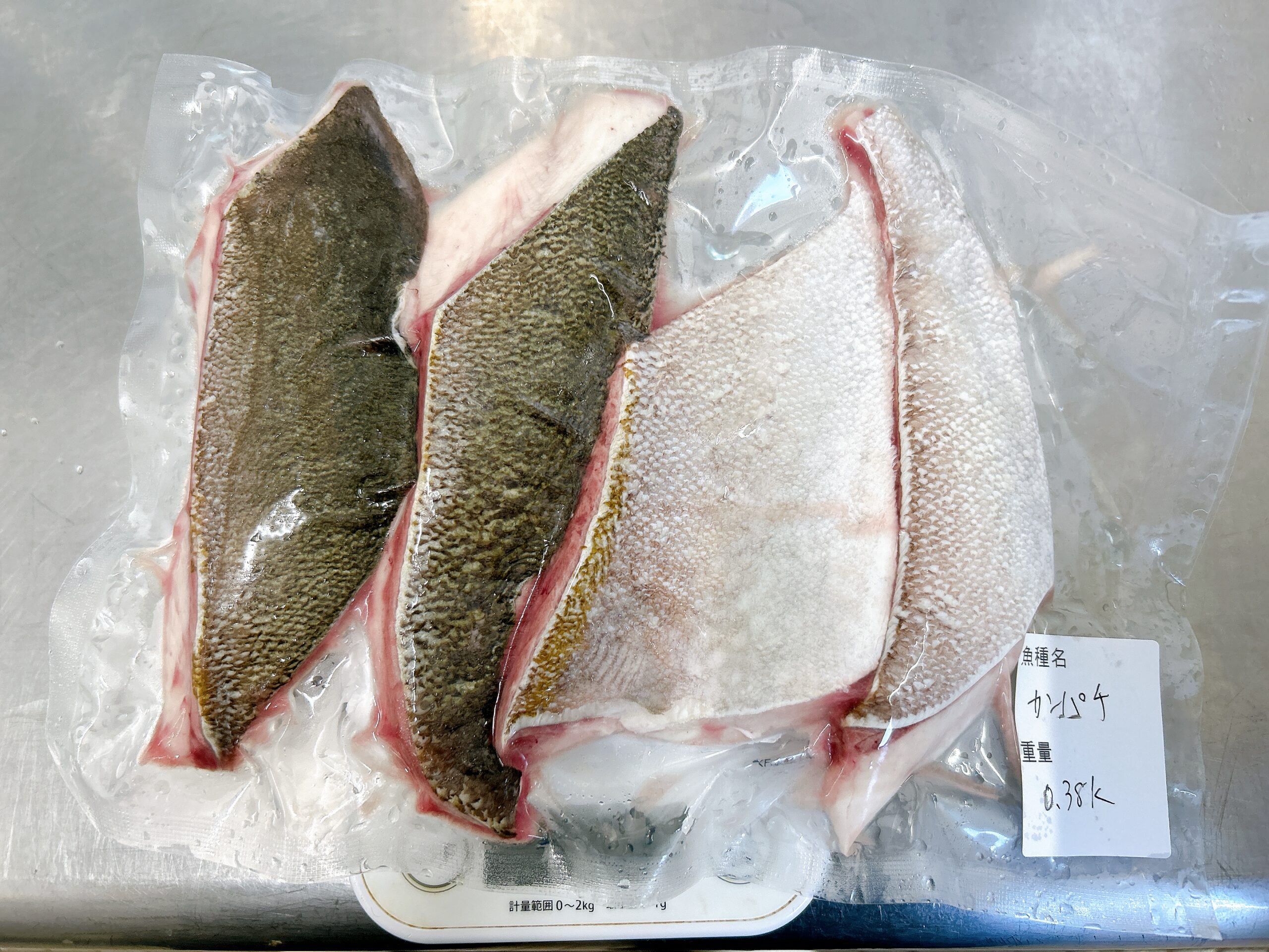 刺身用地魚冷凍フィレ
