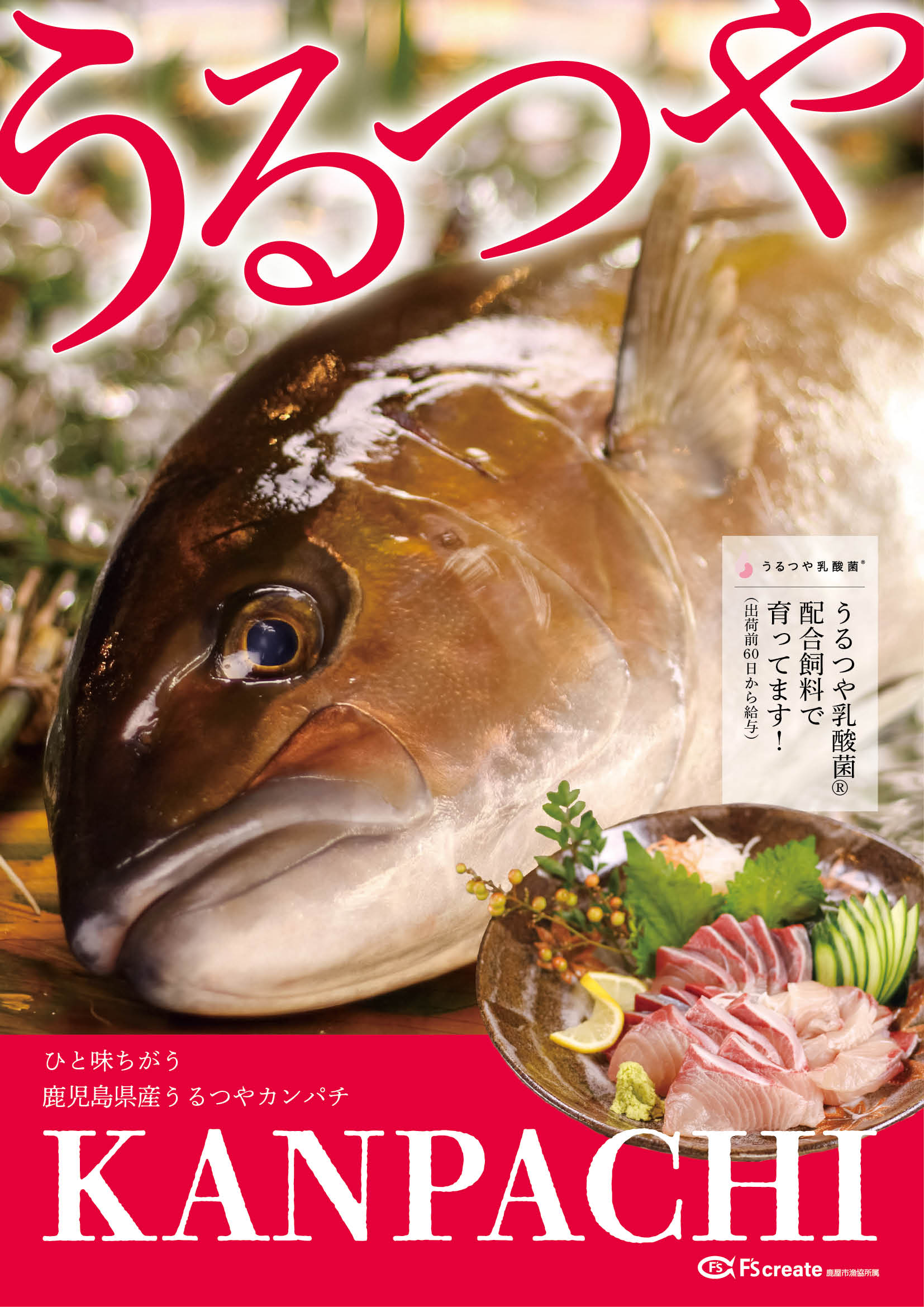 うるつやカンパチ