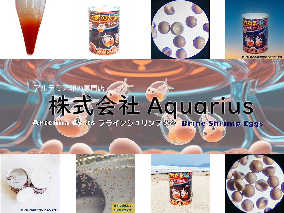 株式会社Aquarius