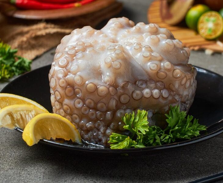 FROZEN RAW OCTOPUS