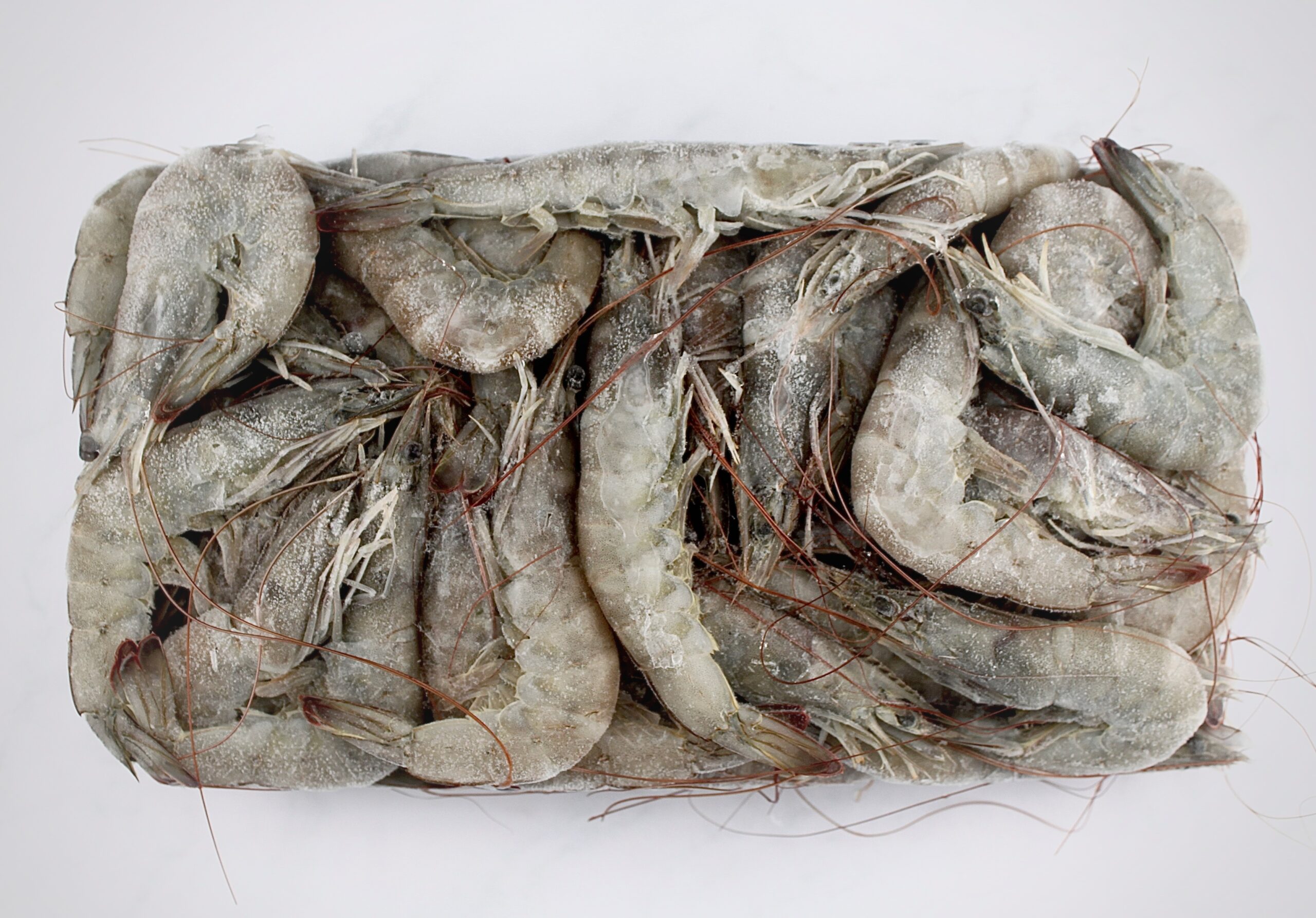 HOSO Whole Shrimp