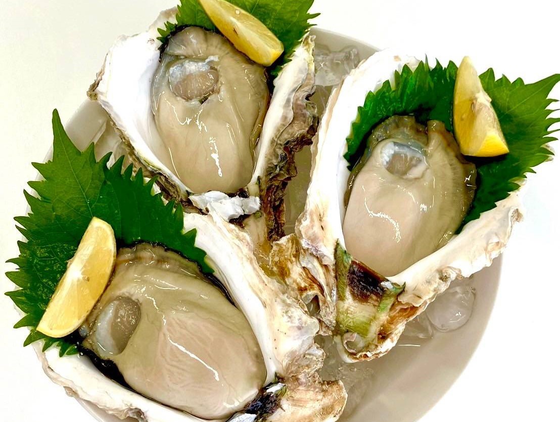 福岡県糸島産　糸島サウンド（岩牡蠣）