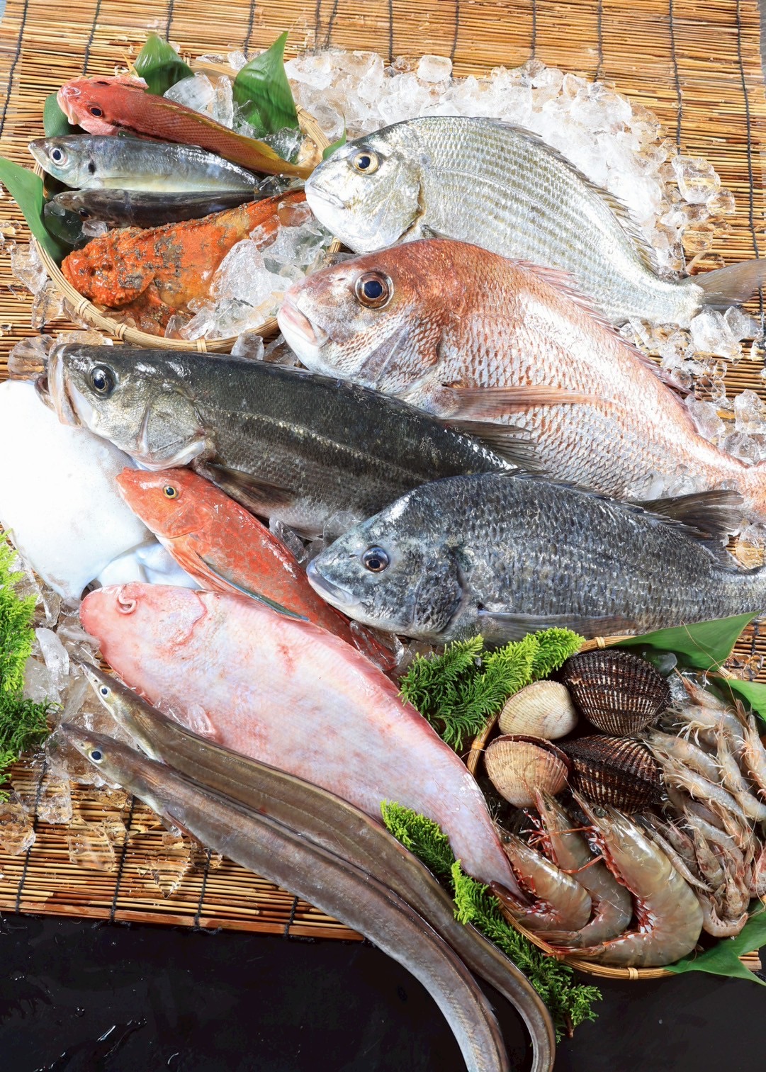 大阪湾　鮮魚