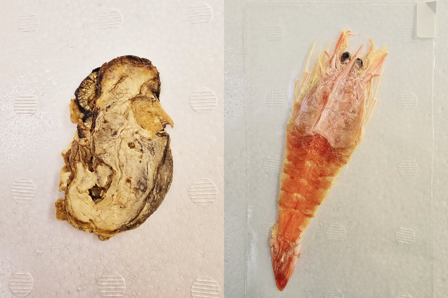 広島かきのそのまま煎餅、有頭えびの姿焼き煎餅、干しえび