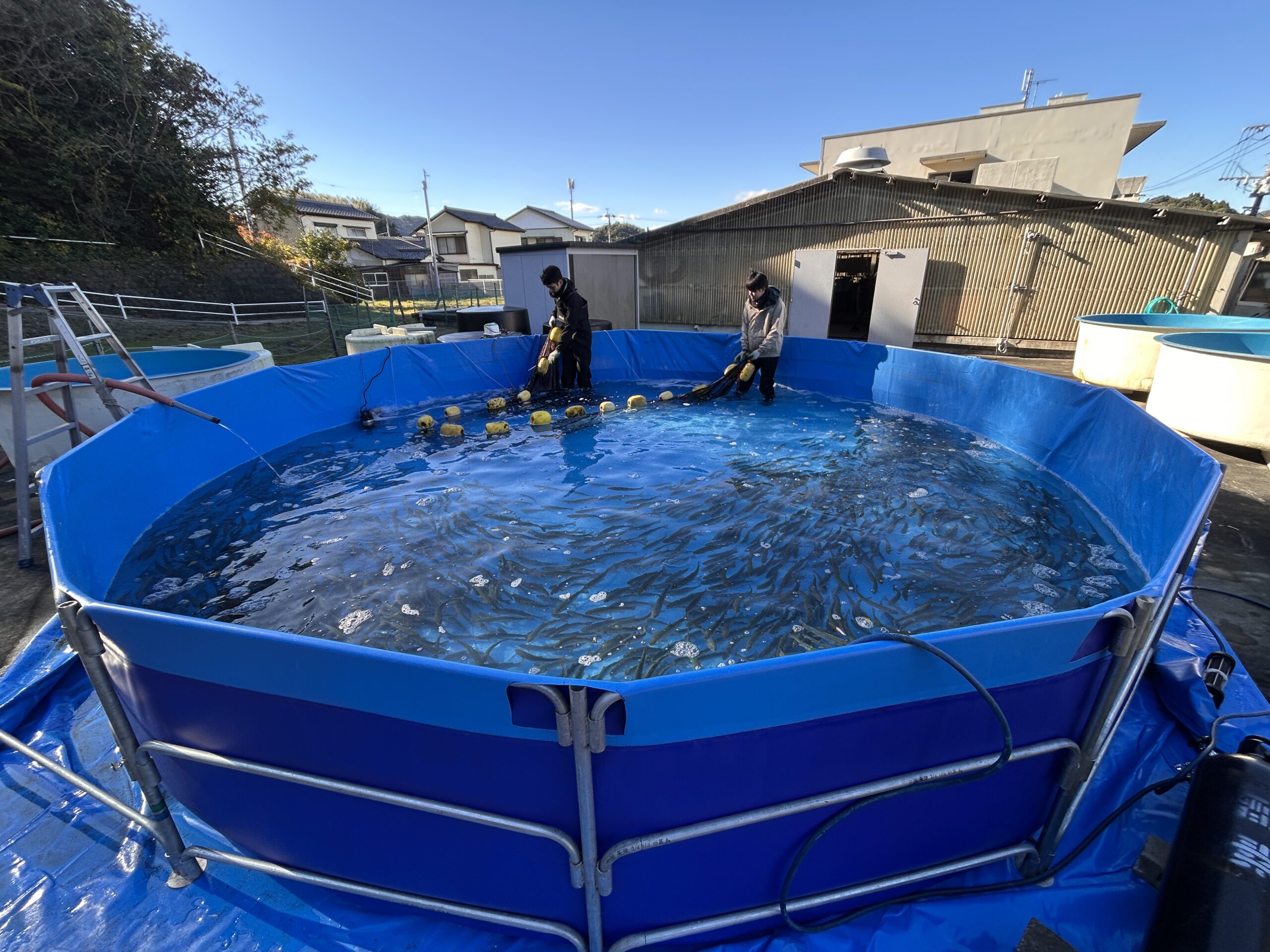 陸上養殖用パイプ式水槽（養殖用水槽）