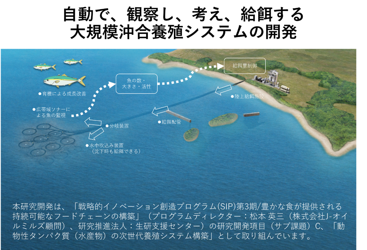 自動で、観察し、考え、給餌する大規模沖合養殖システムの開発