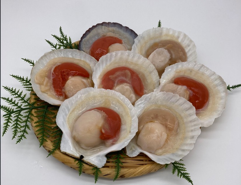 帆立片貝