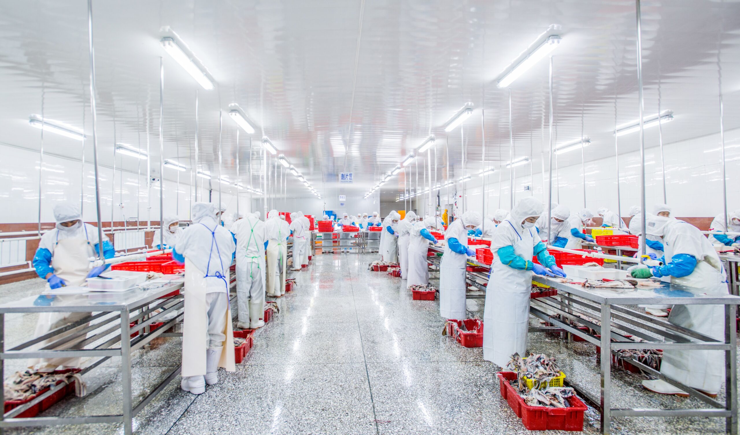 DALIAN ZHENGJUN FOODSTUFFS CO.,LTD
