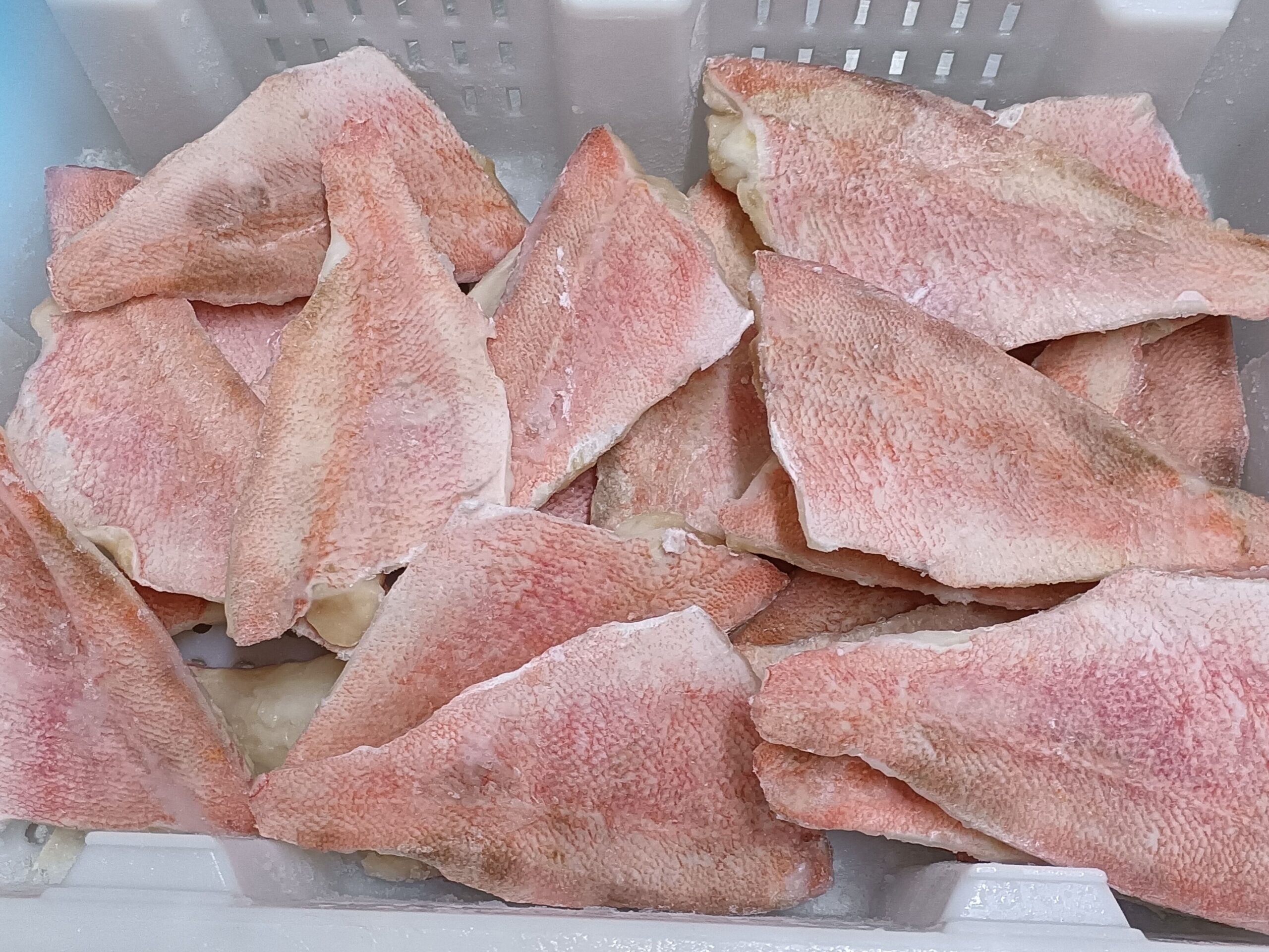 scollap redfish greenland halibut fillet