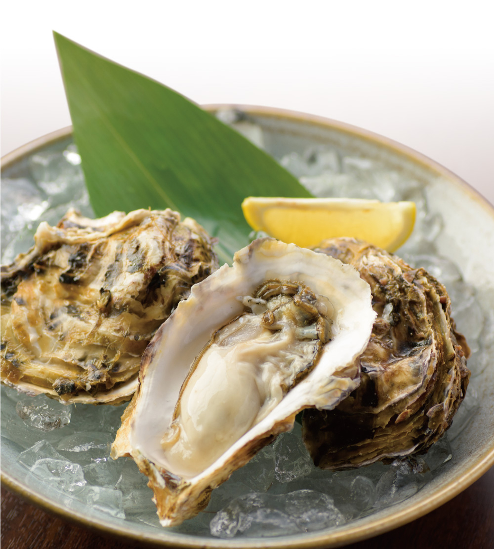 石巻産 殻付き牡蠣