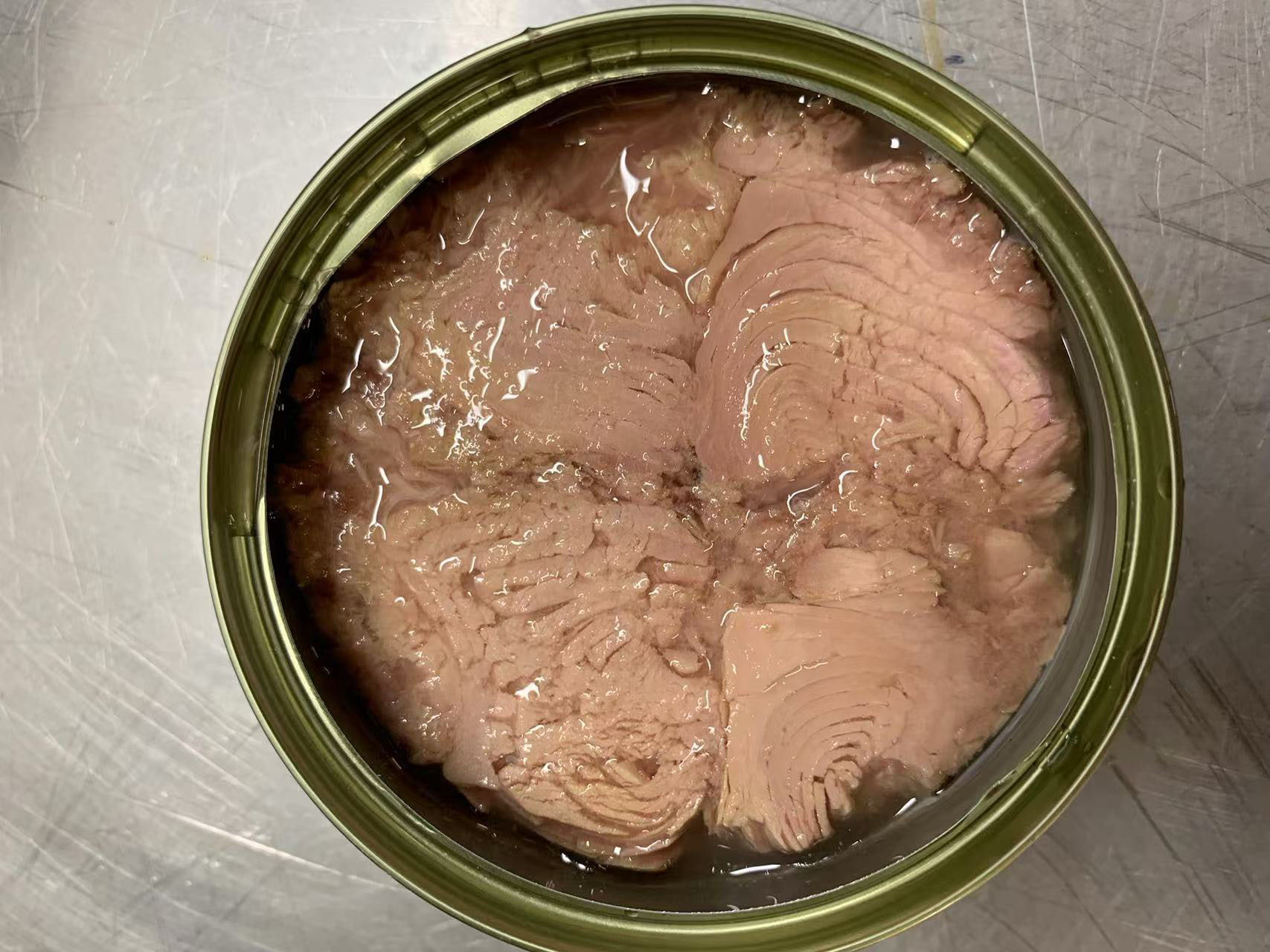 マグロの缶詰