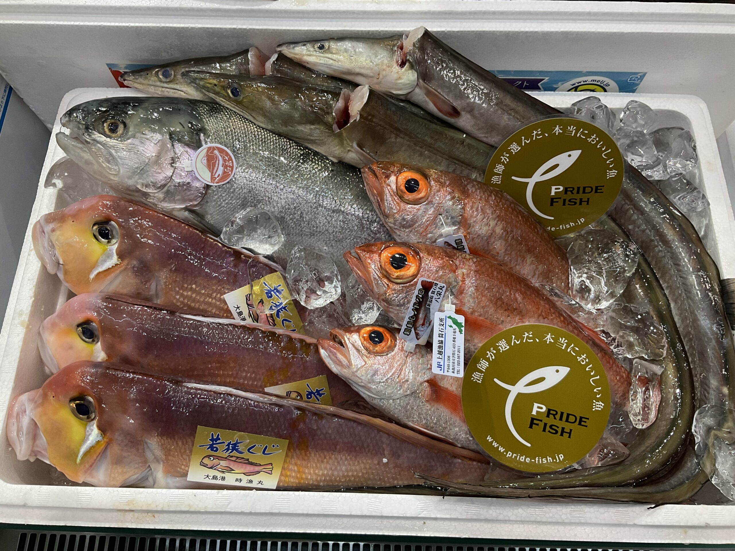 プライドフィッシュ（各種鮮魚）