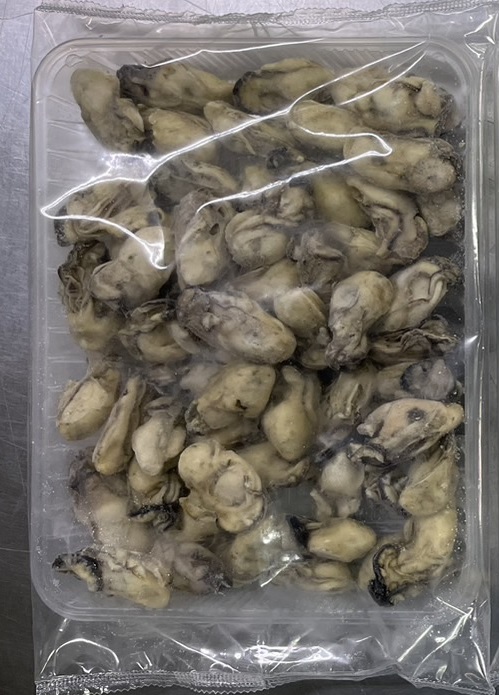 海の白玉牡蠣