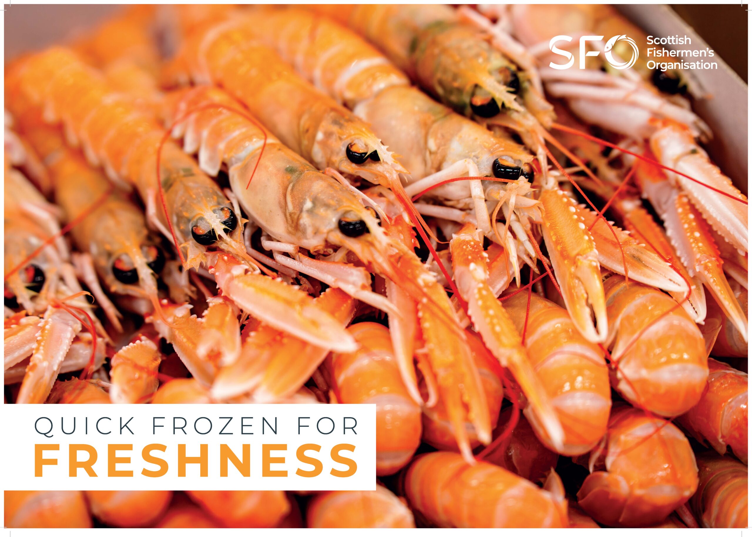 Langoustines