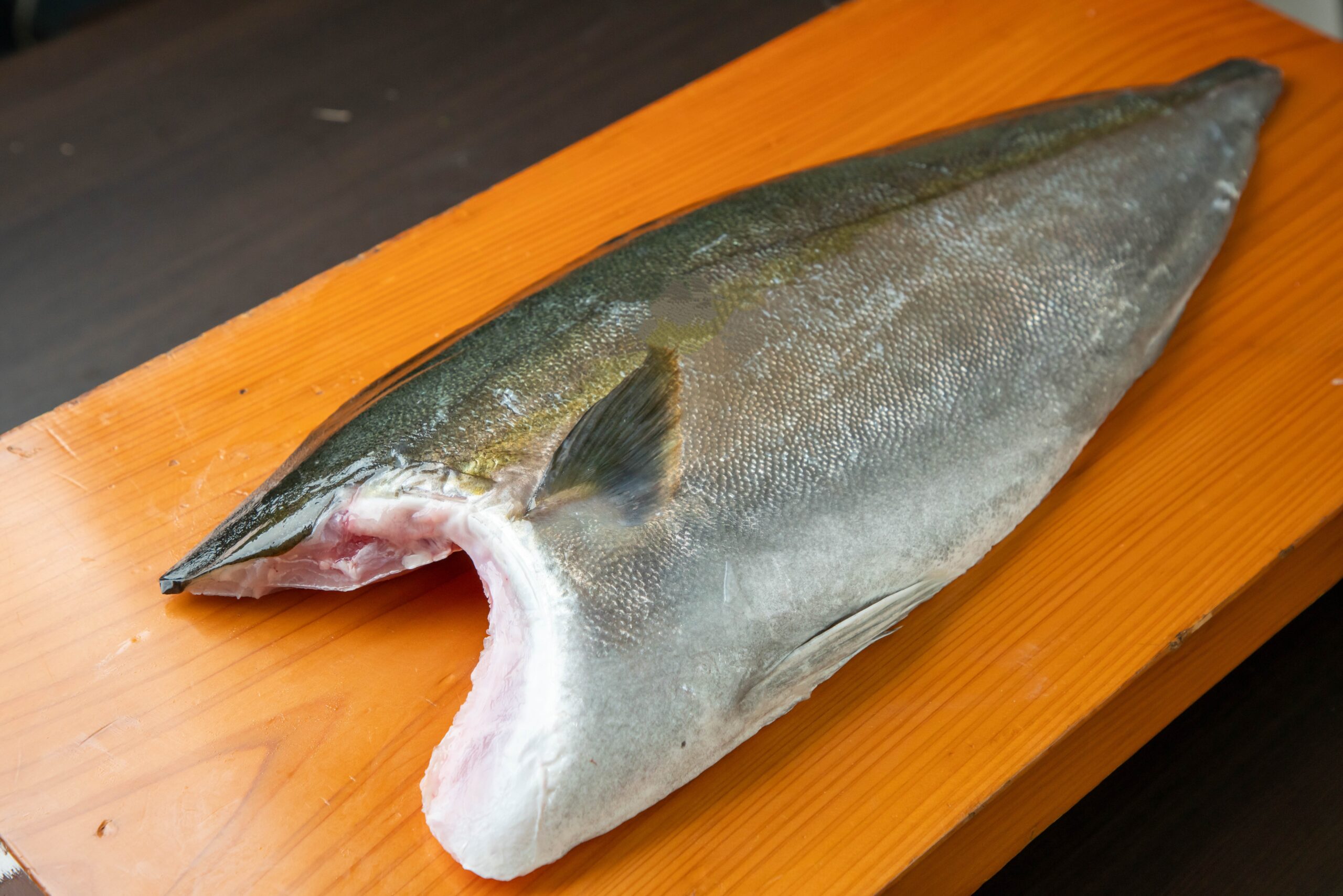養殖カンパチ