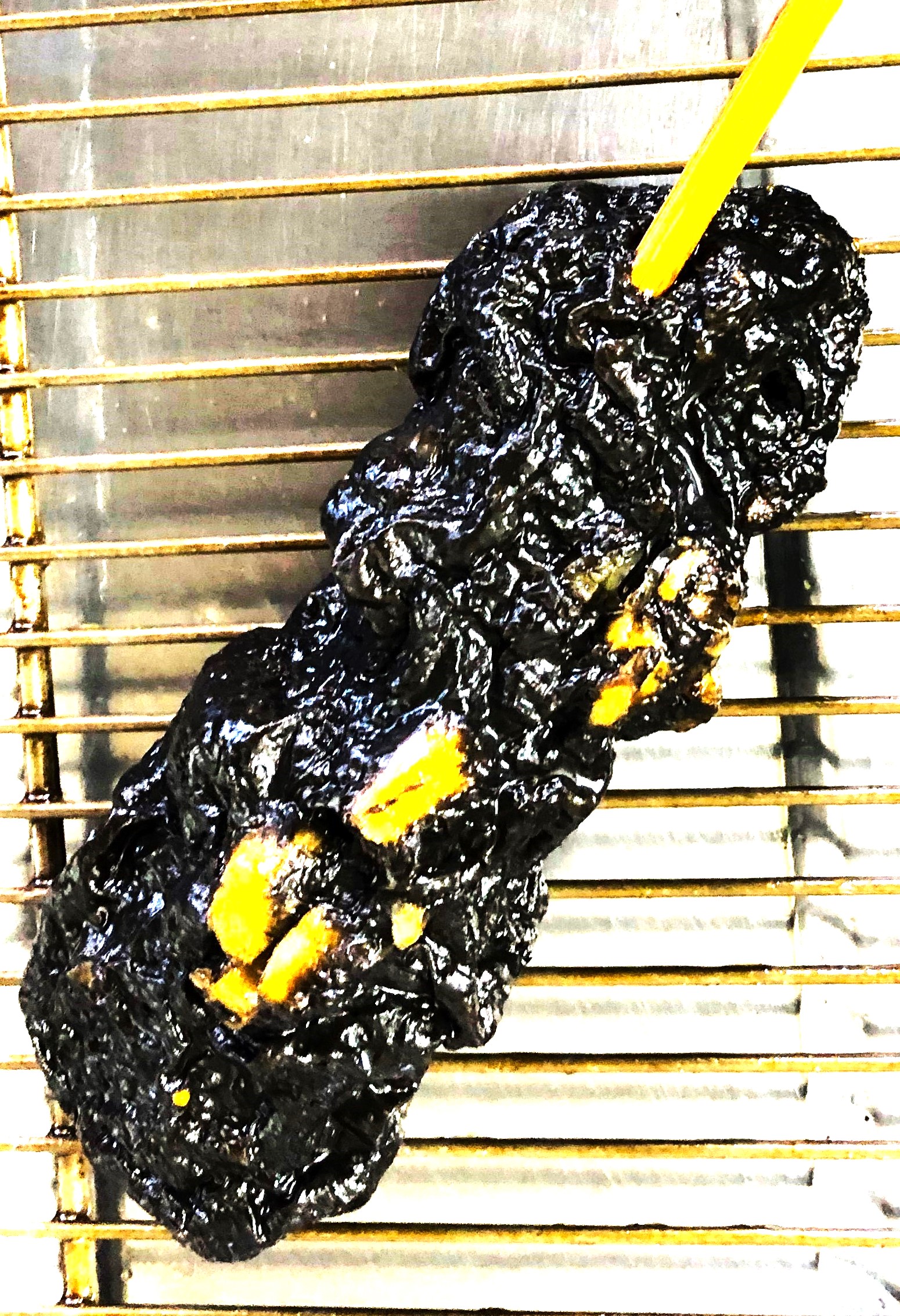 冷凍イカ墨天串