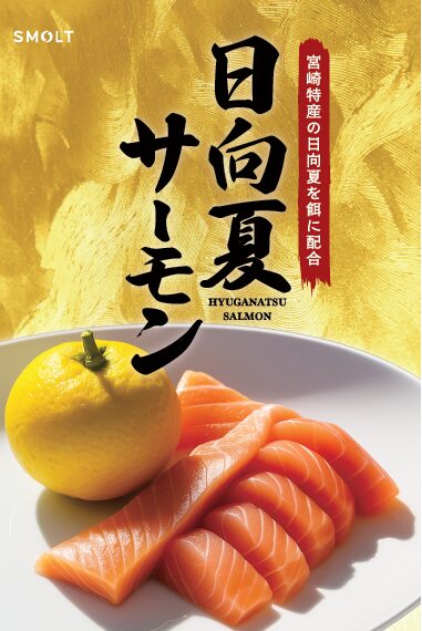 日向夏サーモン