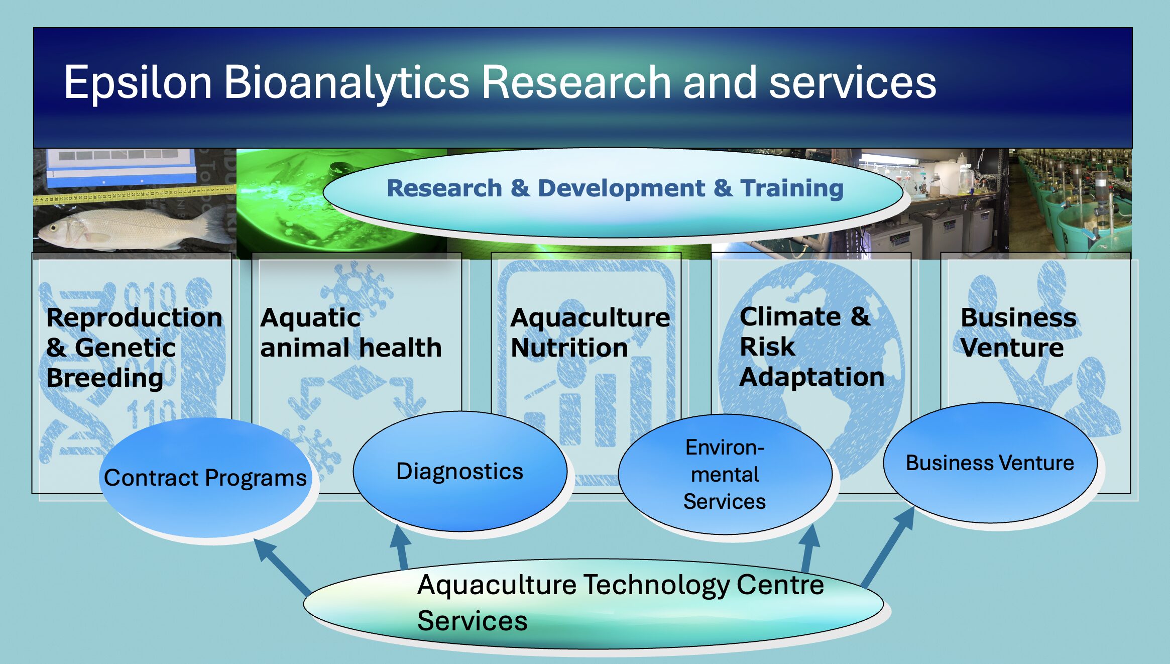 水産養殖・漁業 研究・ビジネスソリューション パートナーシップ