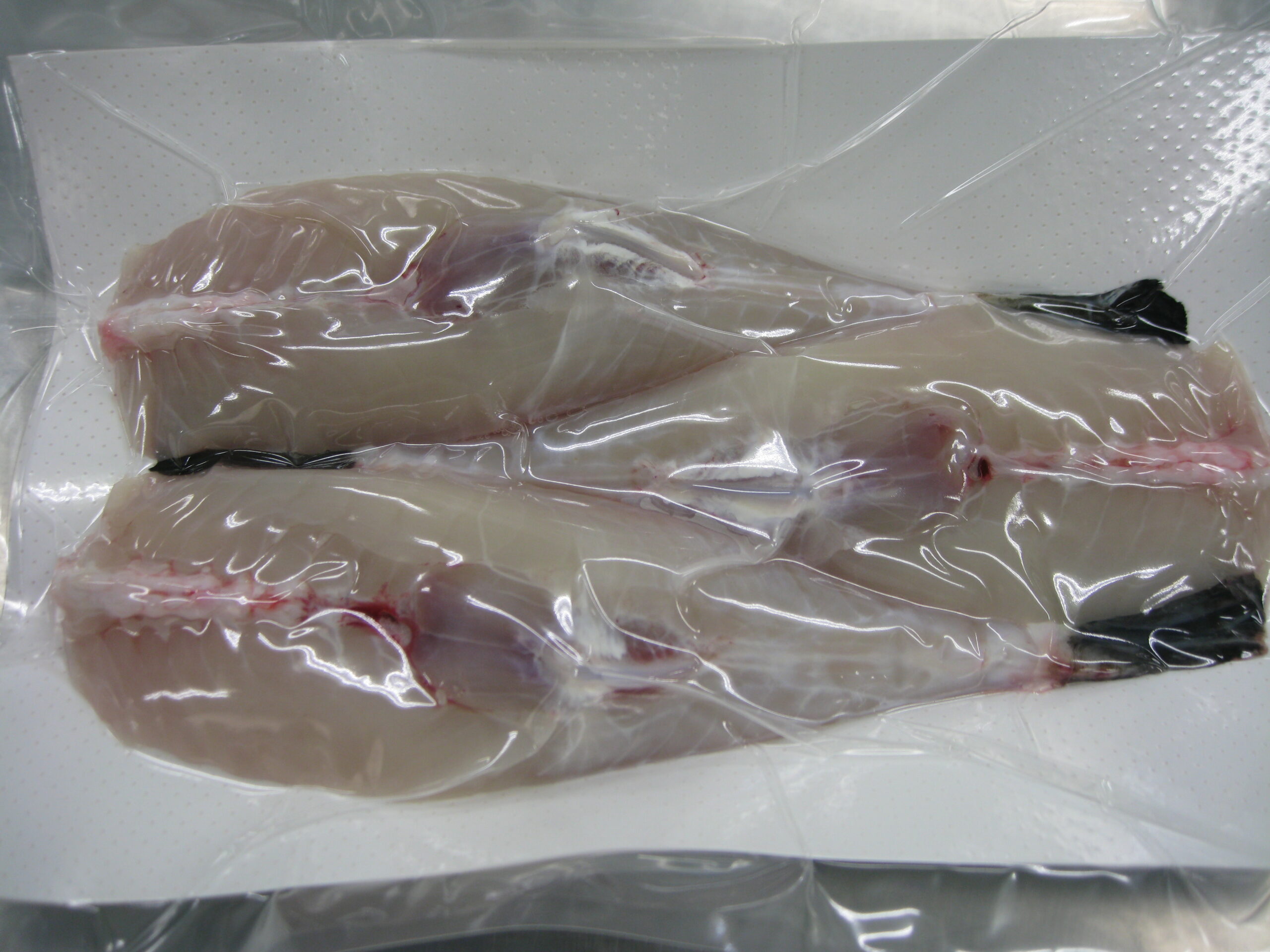 とらふぐドレス