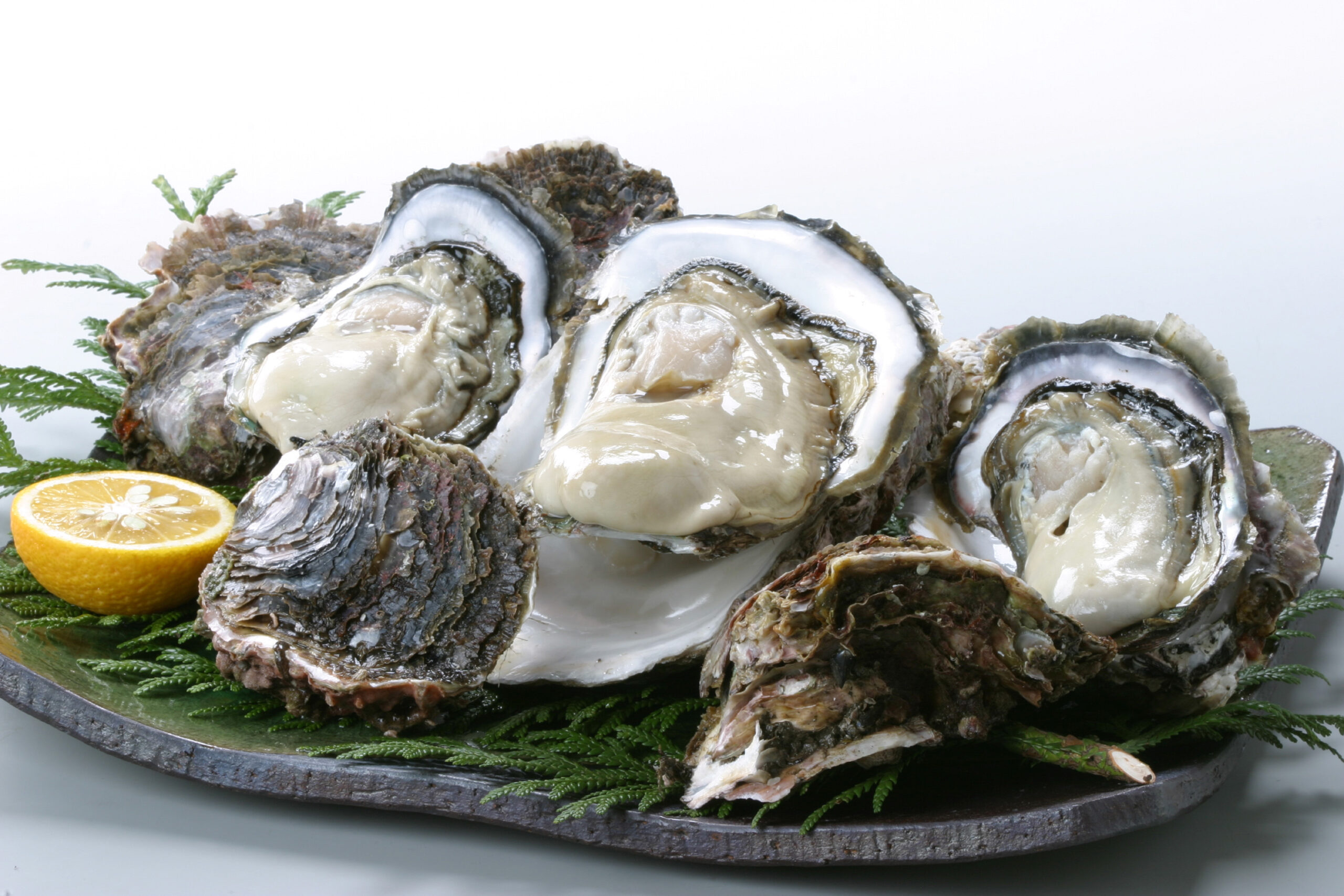 株式会社日本海隠岐活魚倶楽部