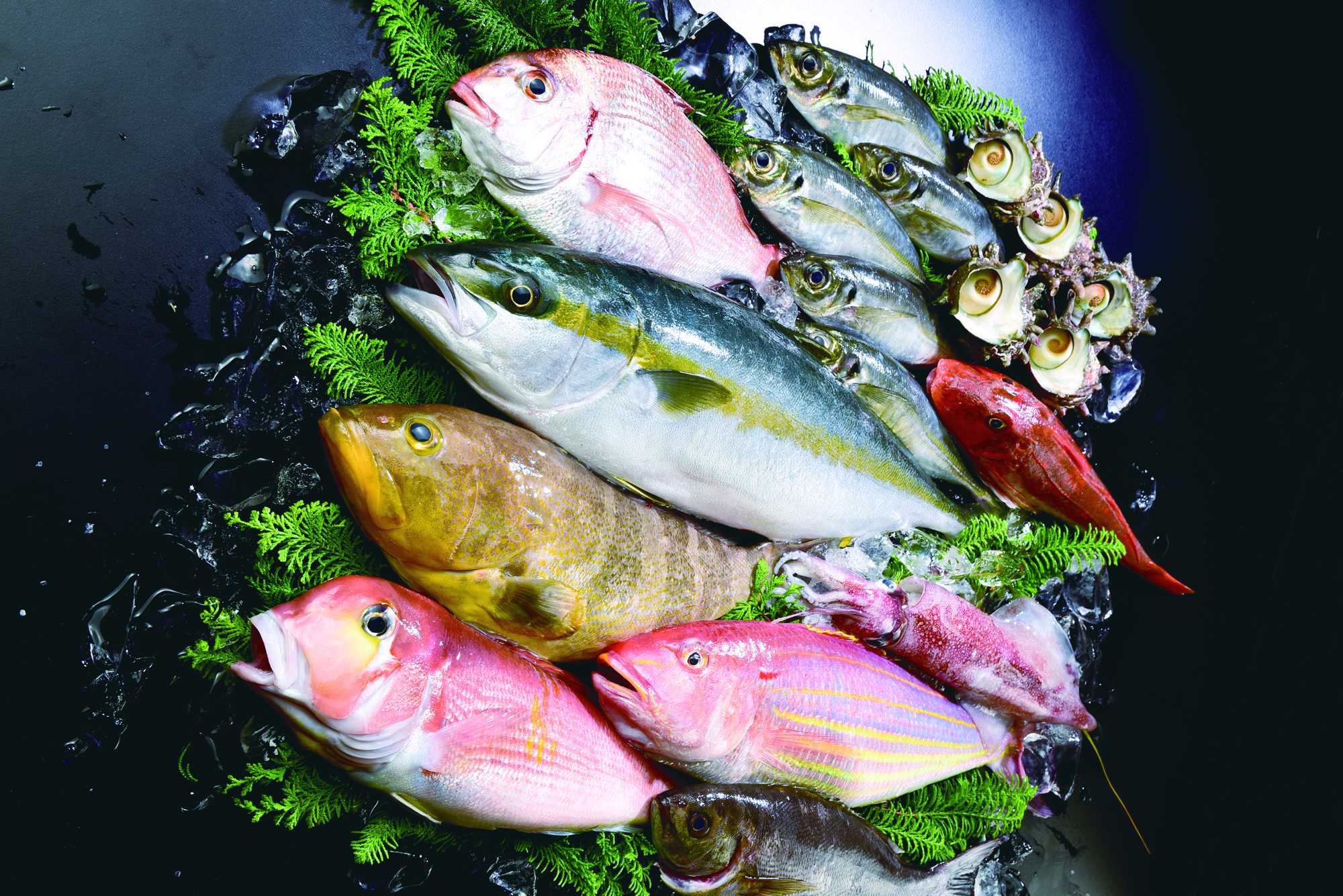 やまぐちの農林水産物需要拡大協議会