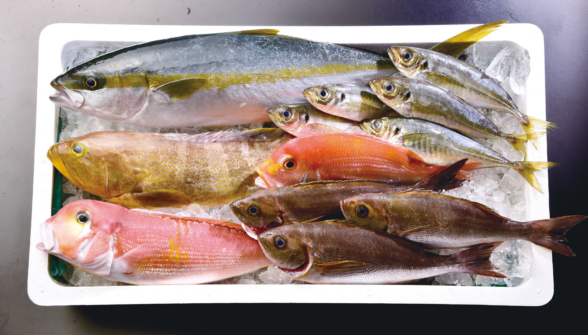 ぶちうま産直市場「鮮魚セット」