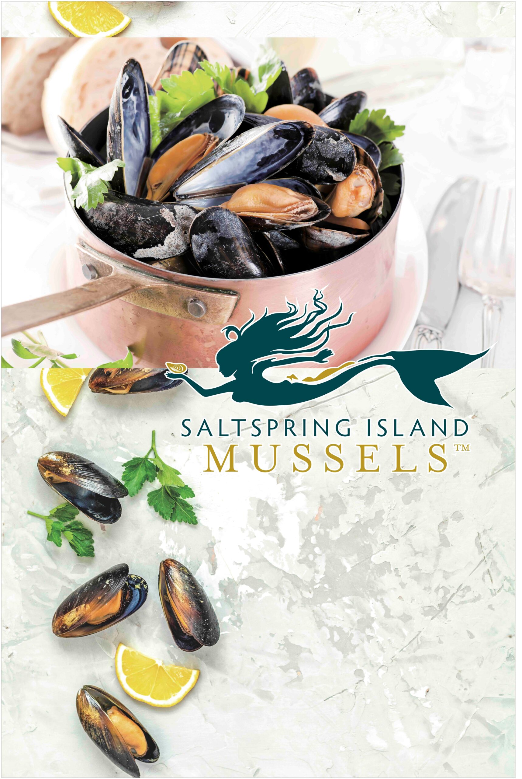 カナダ産 活ムール貝