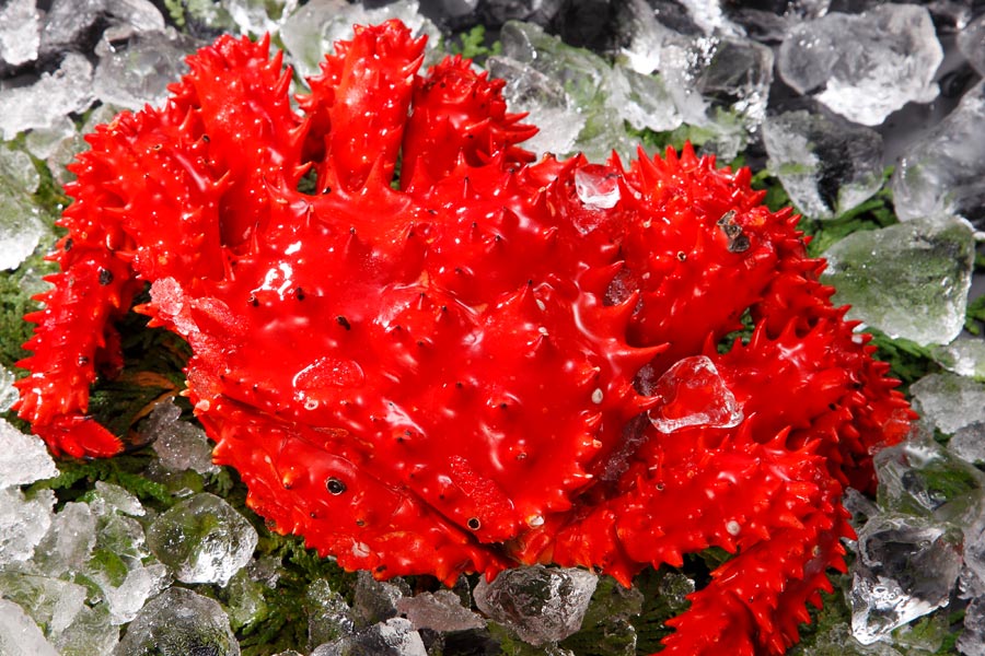 ボイル花咲ガニ姿