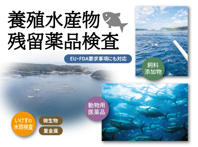 養殖水産物 残留薬品検査