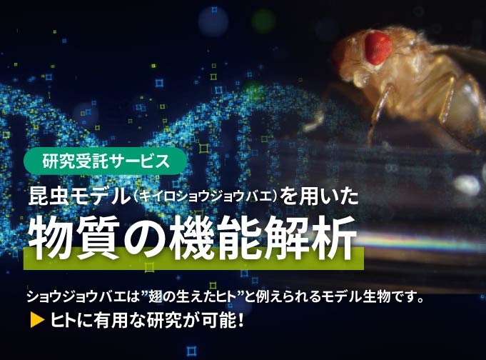 昆虫モデルによる、食品の毒性試験・機能性試験