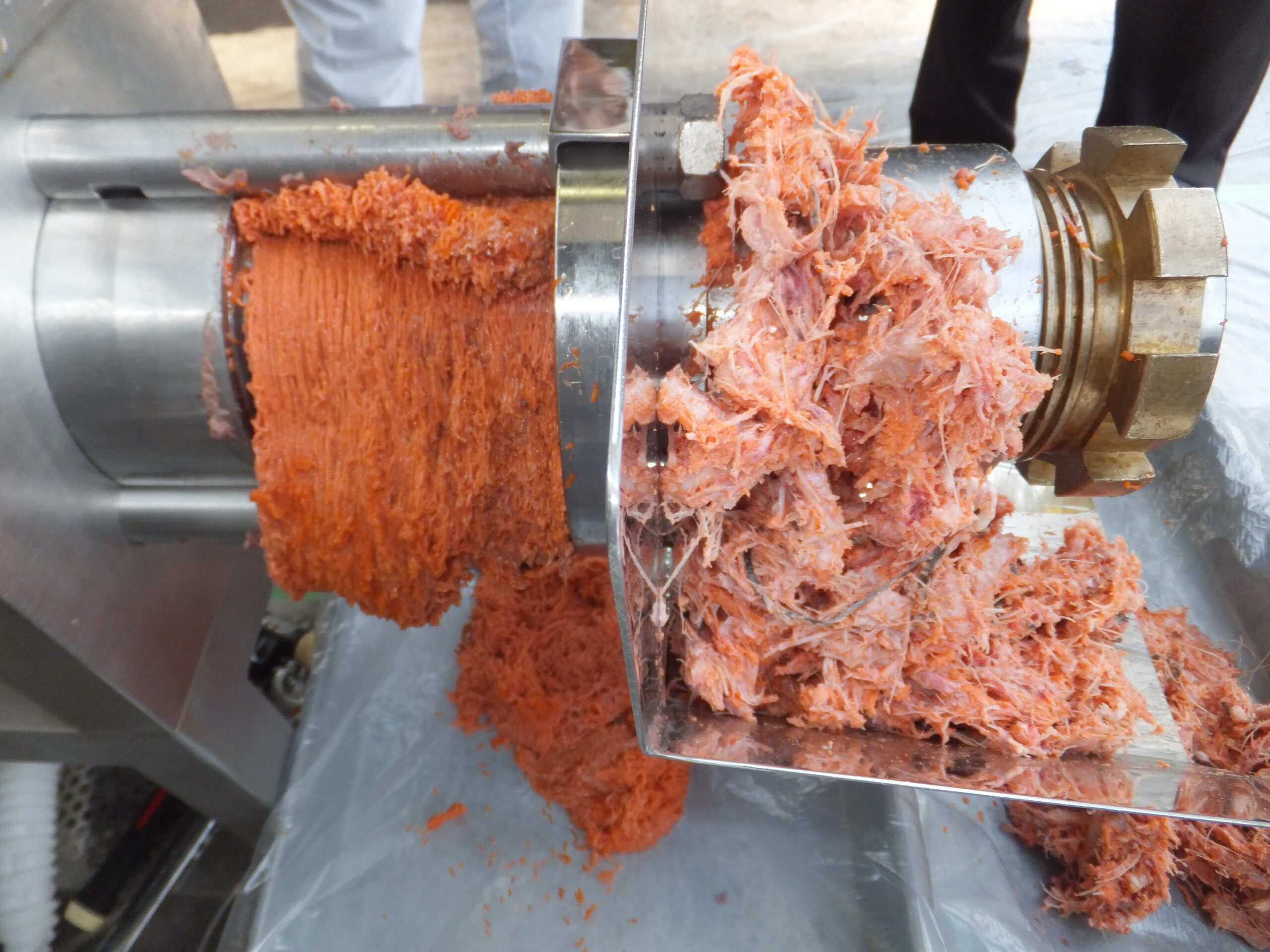 骨肉分離機TR Chibyチビ