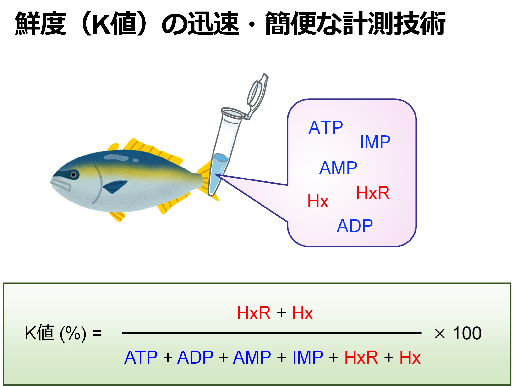 鮮度（K値）の迅速・簡便な測定技術