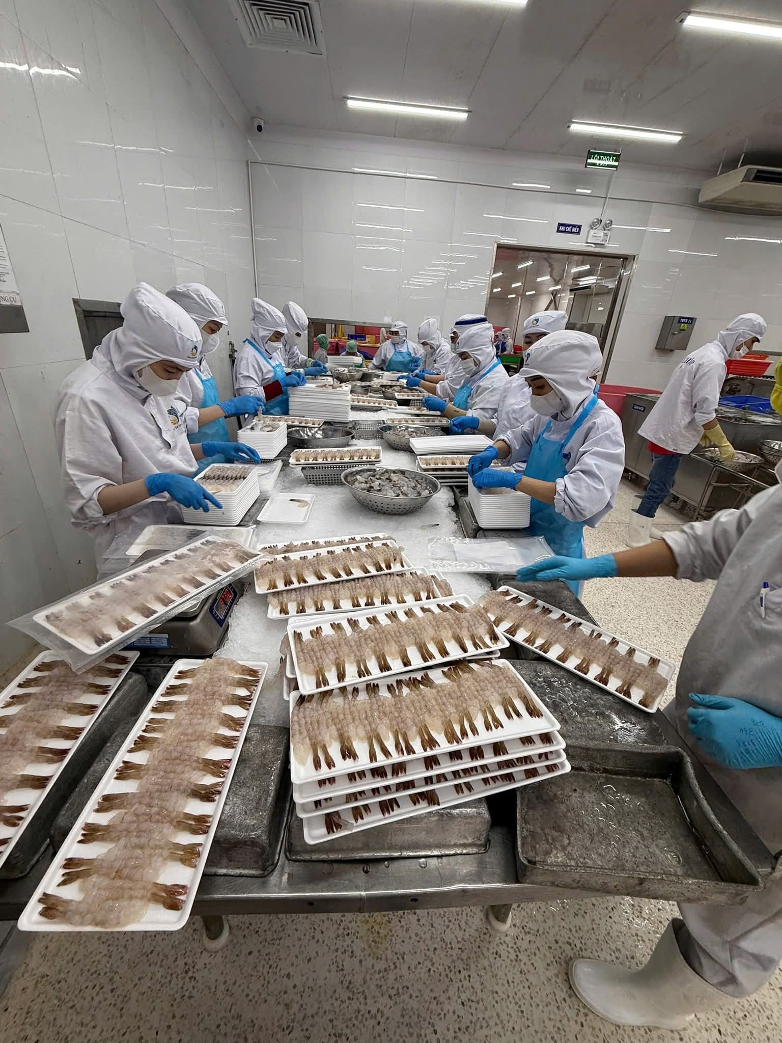 ハイズオンシーフード