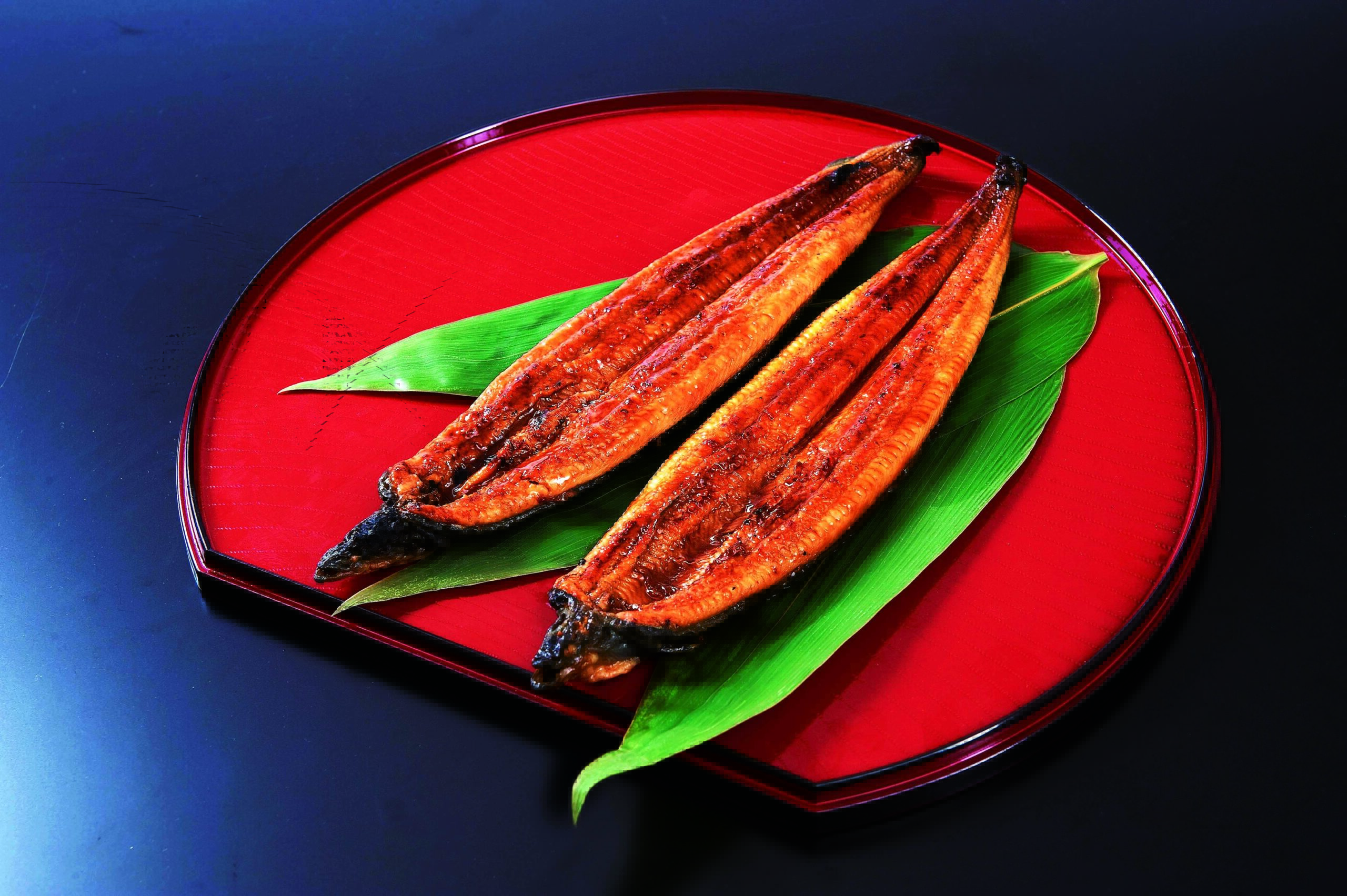 宮崎産/鹿児島産 うなぎ蒲焼長焼 有背