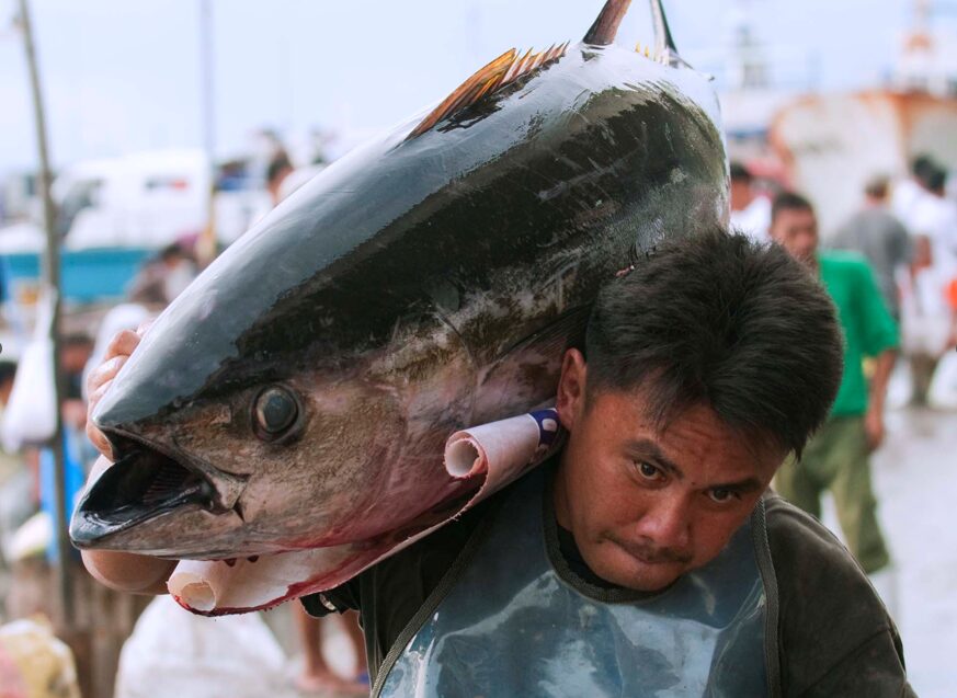 株式会社ペスカリッチ
