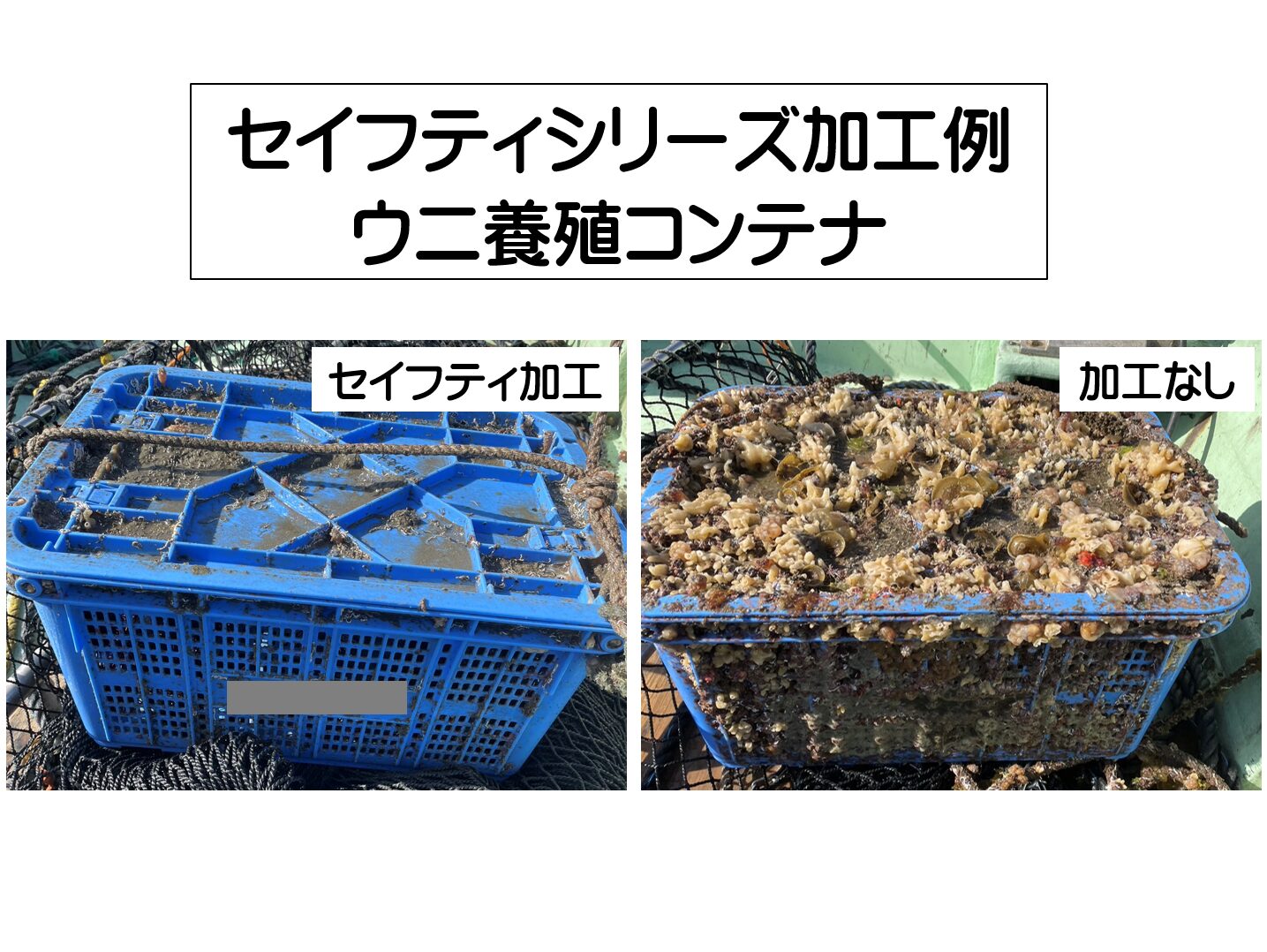 セイフティシリーズ