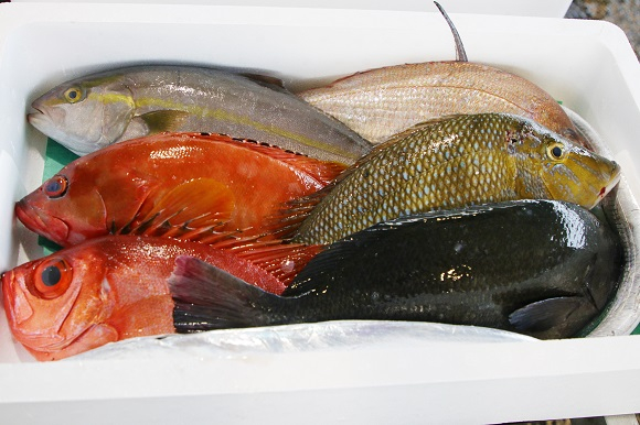 鮮魚セット