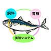 新たな飼料・育種・養殖システムの技術導入による次世代養殖システムの開発