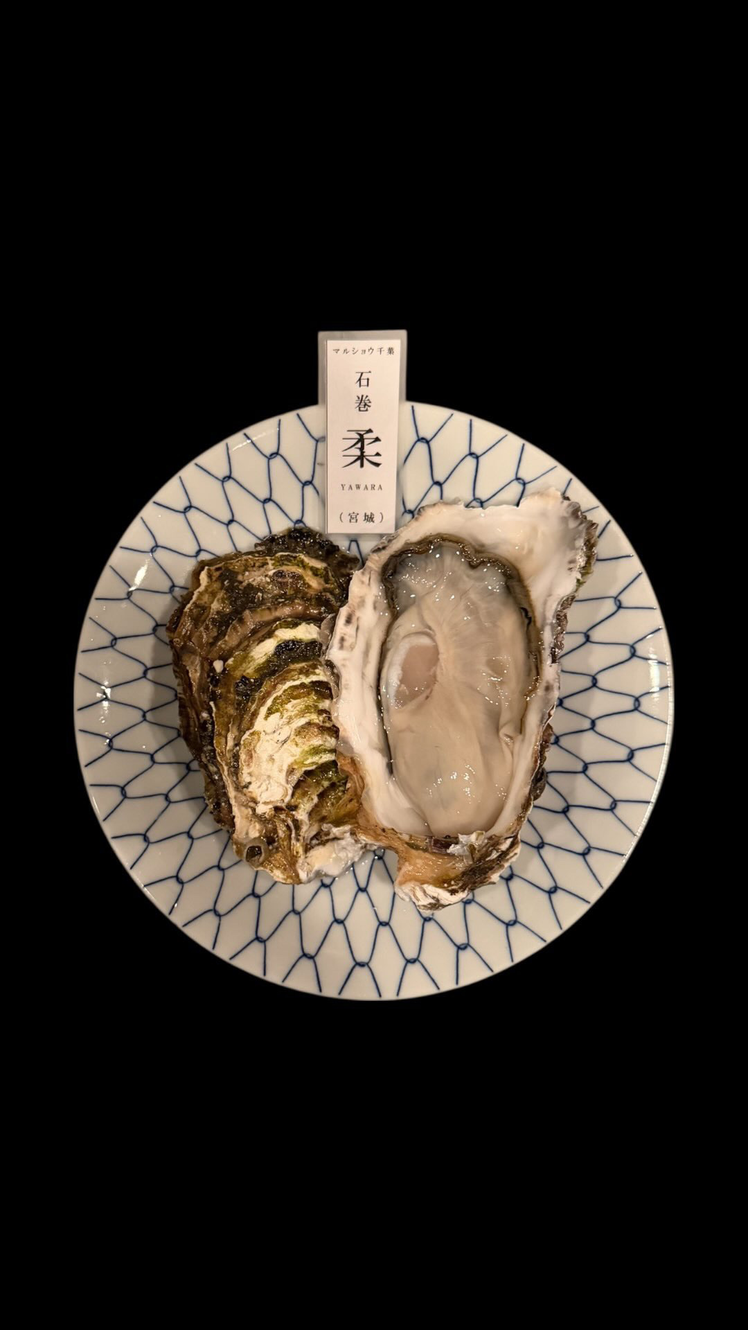 「想」殻付き牡蠣（生食）　岩手県広田産