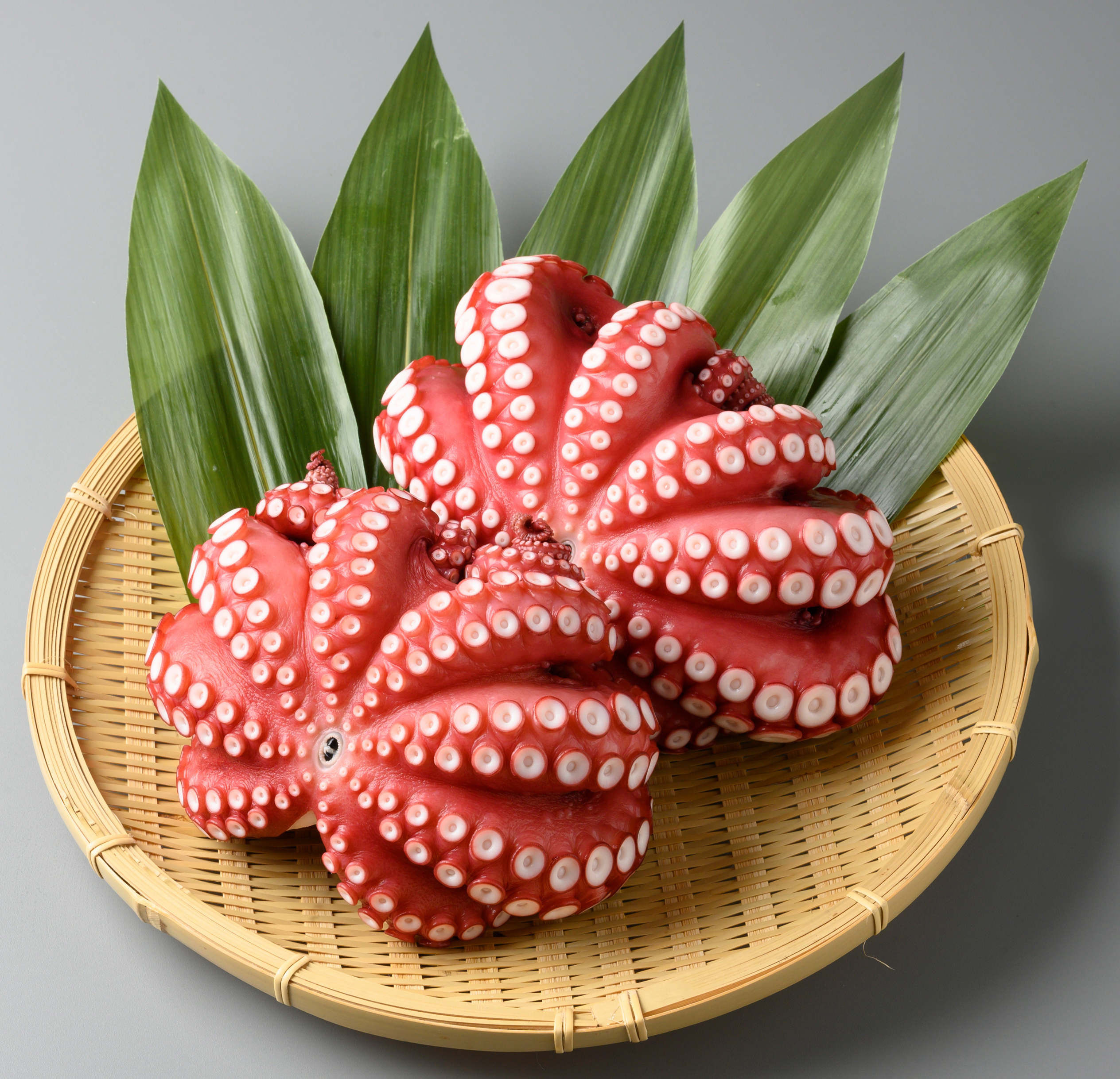 かねいしの蒸し蛸