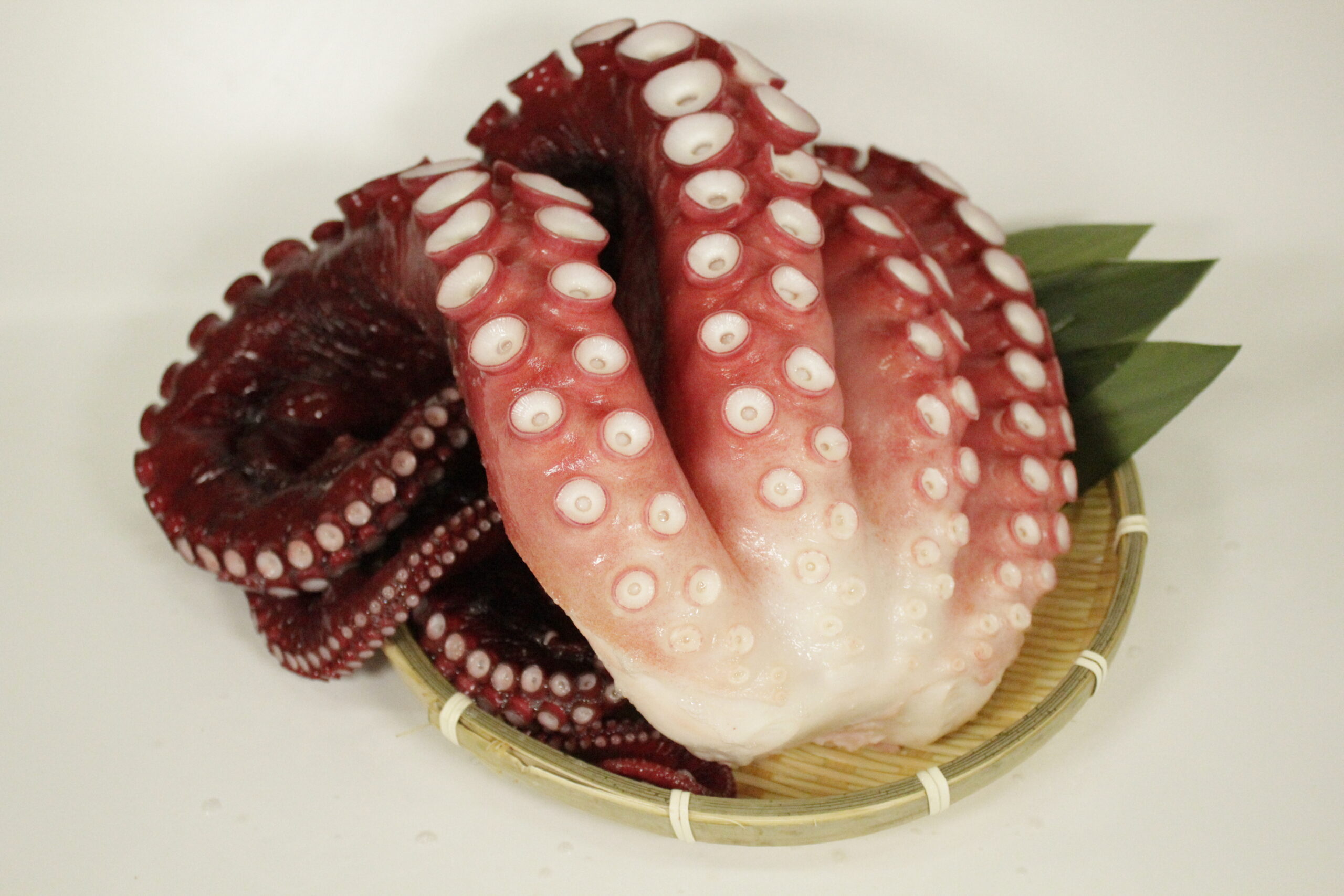 北海道オホーツク海産 蒸し水タコ