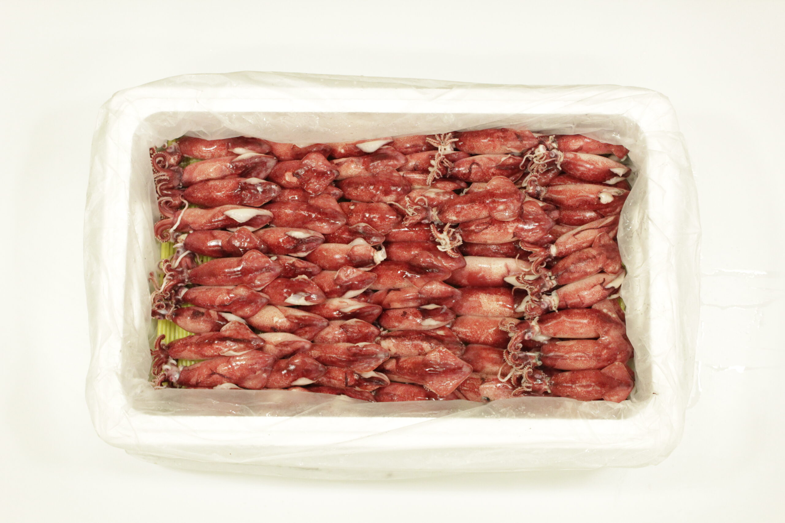 カリフォルニア産ボイルヤリイカ