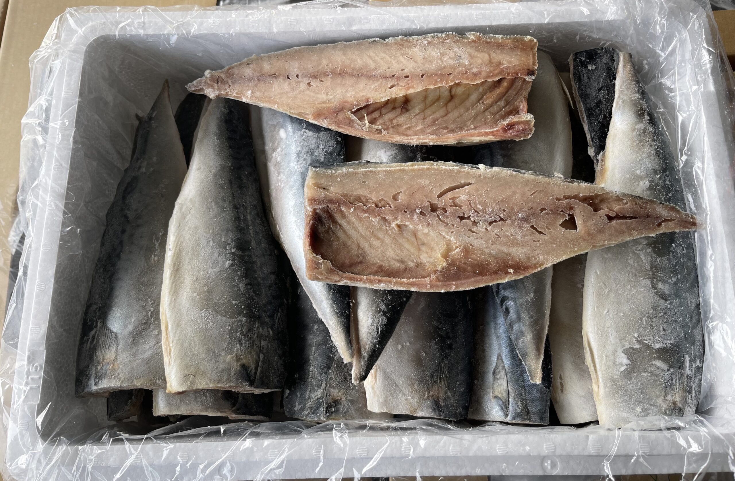 国産定塩サバフィレ