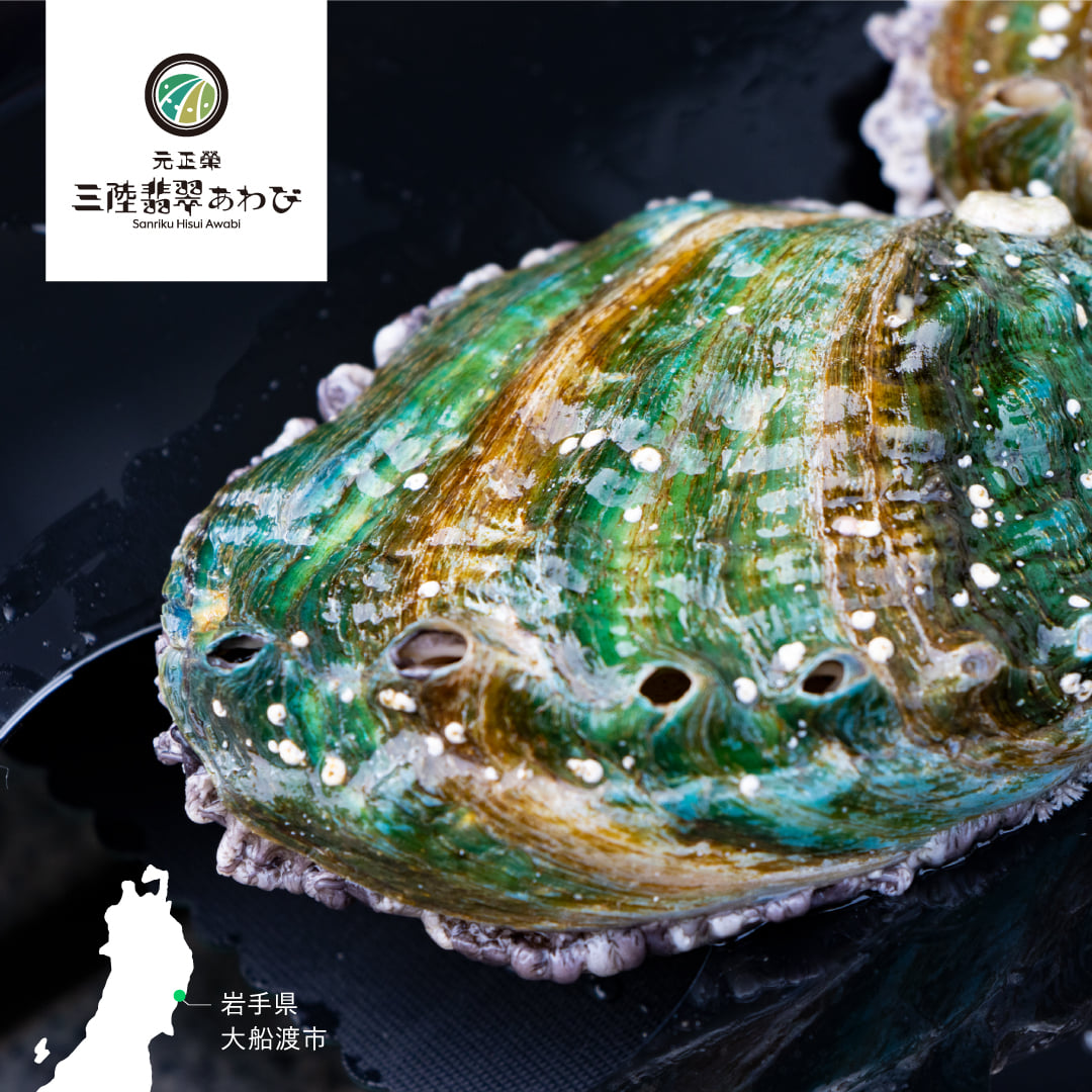 元正榮北日本水産株式会社